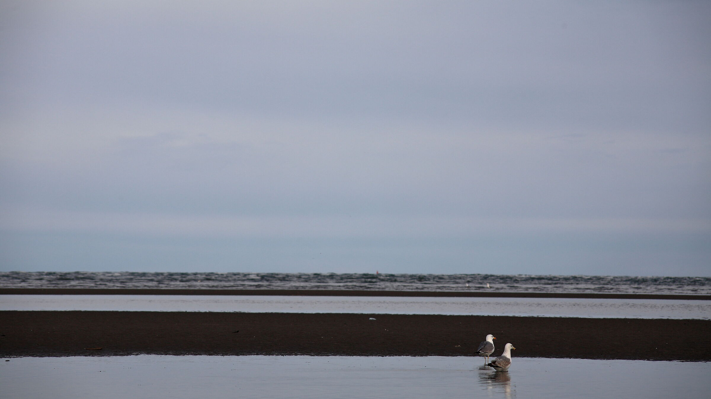 Spiaggia di Porto Caleri (ro)