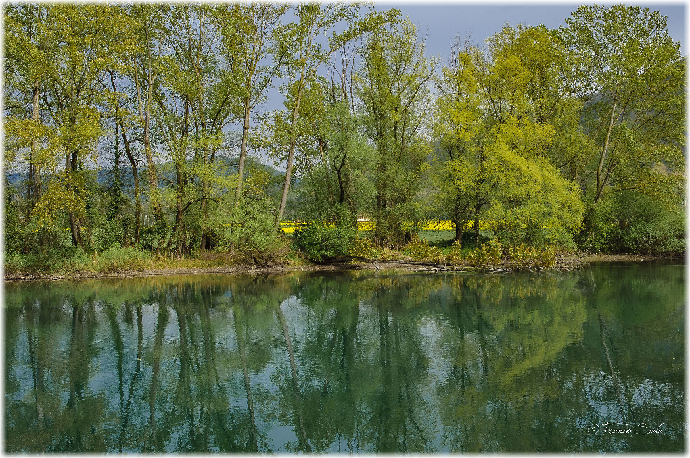 The colors of spring