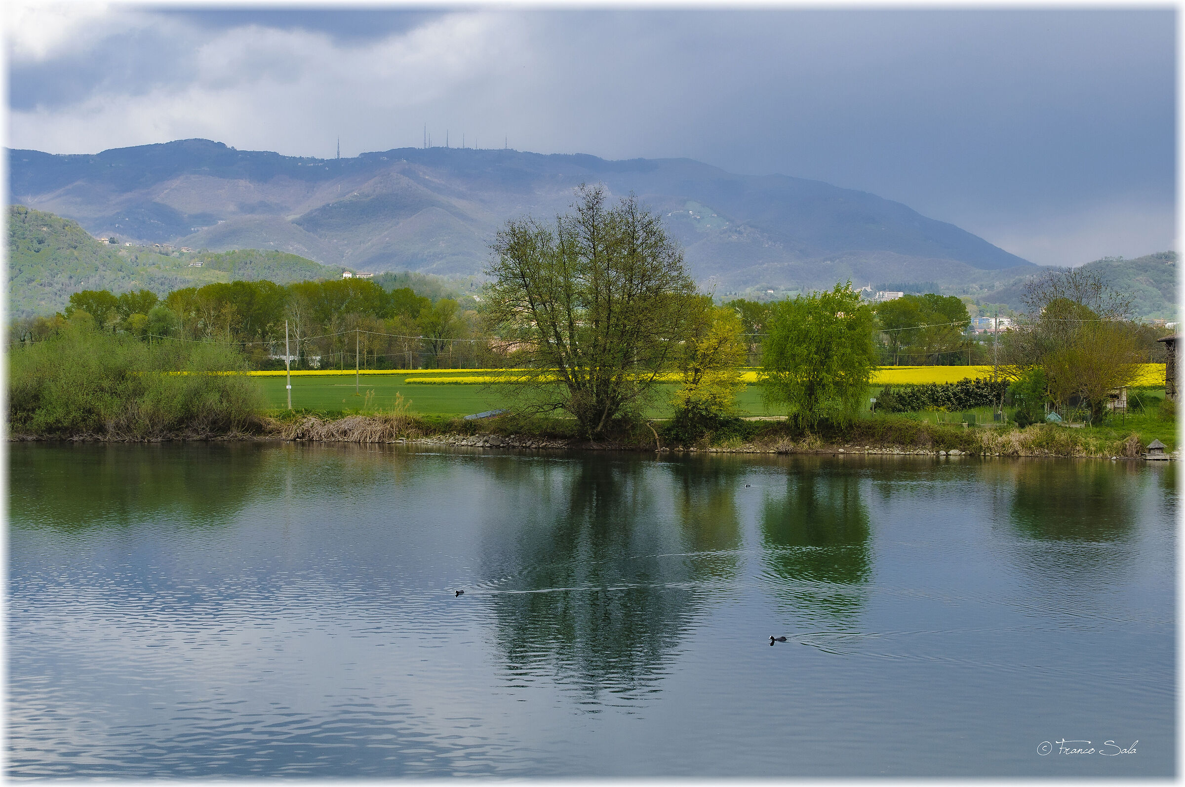 The colors of spring