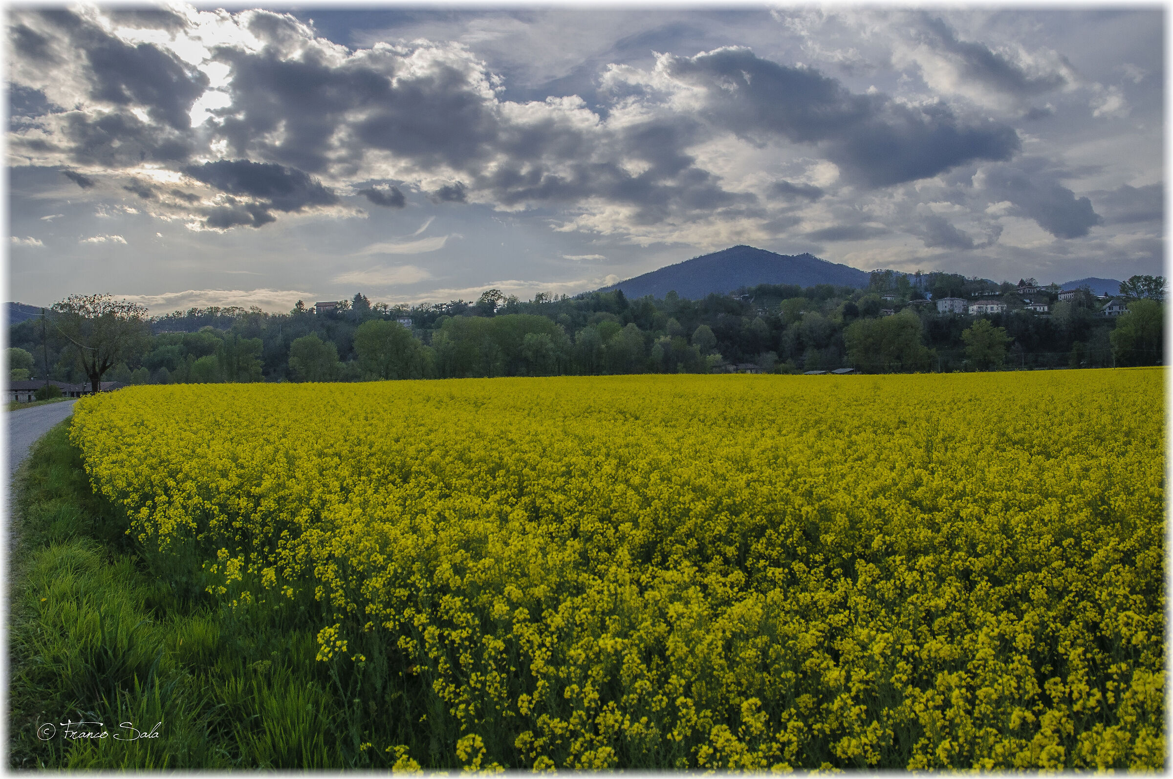 The colors of spring