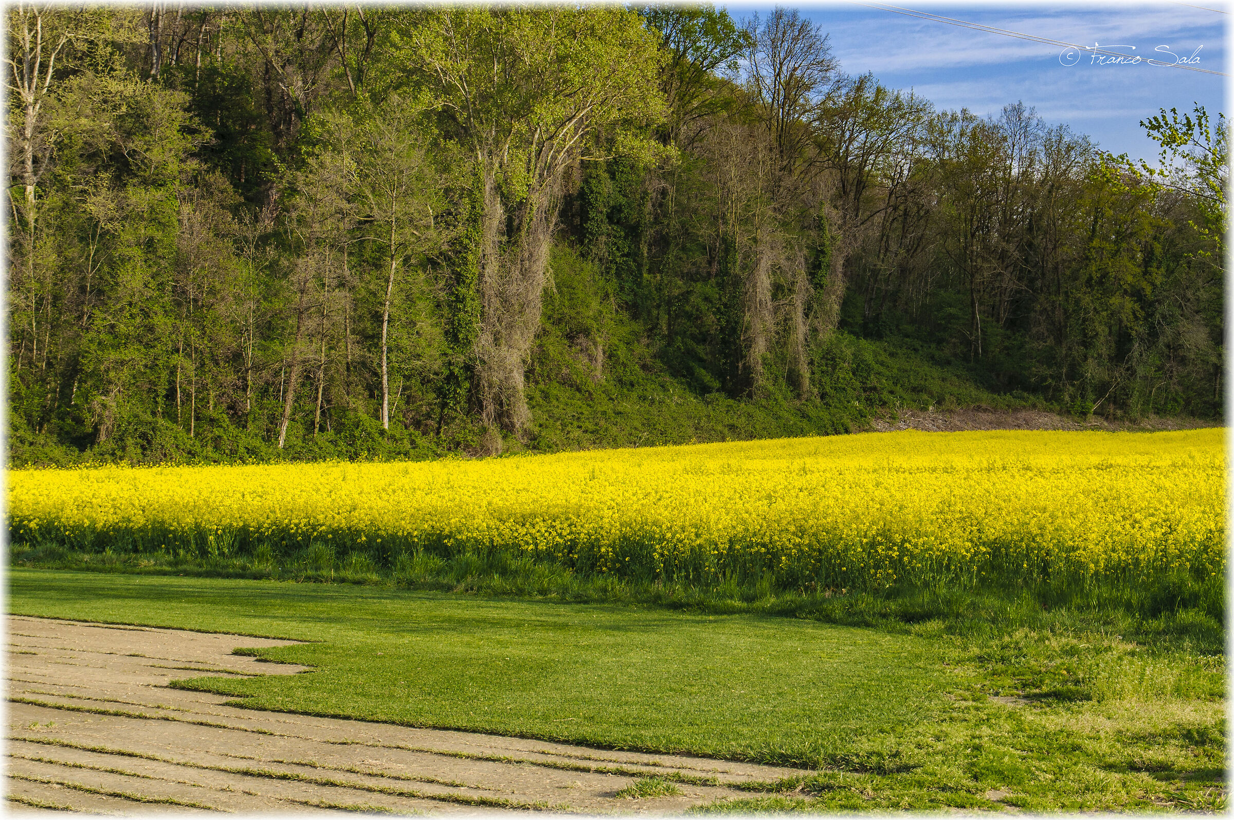 The colors of spring