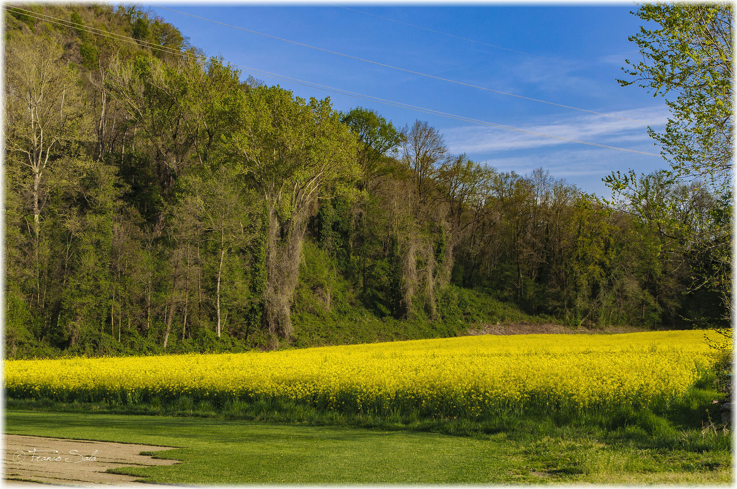 The colors of spring