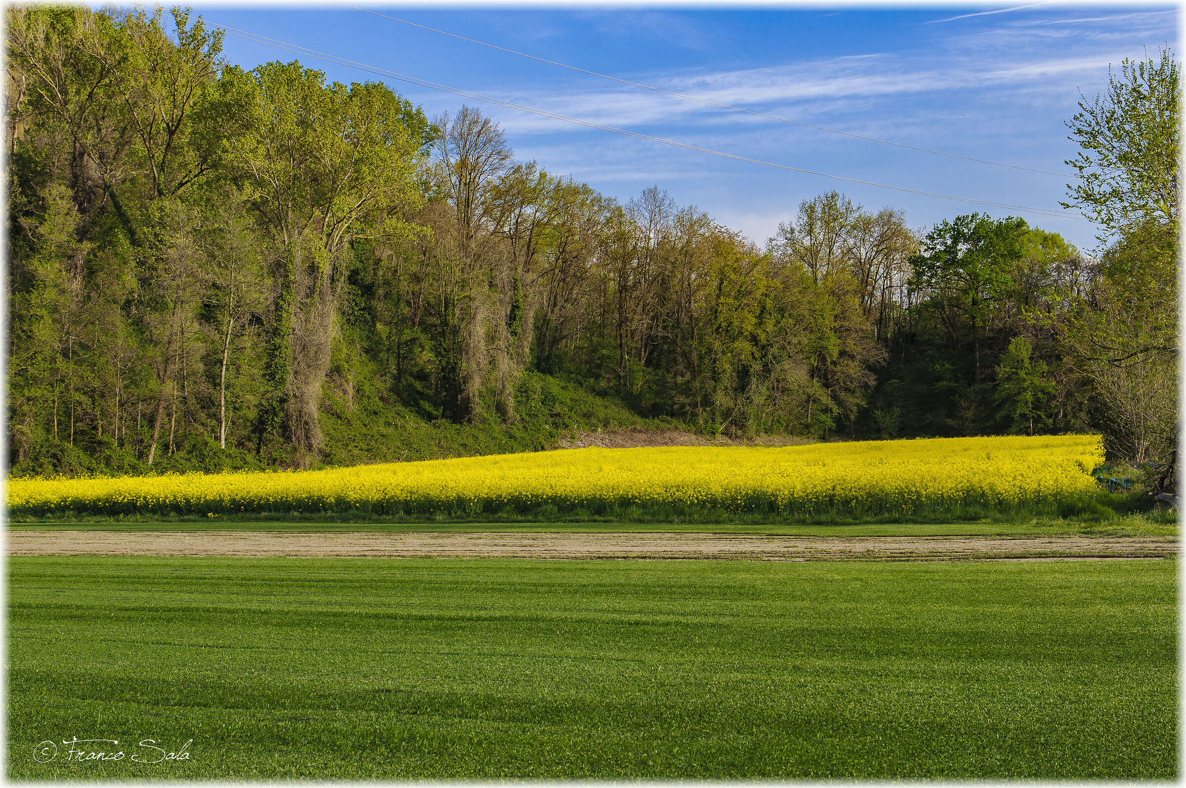 The colors of spring