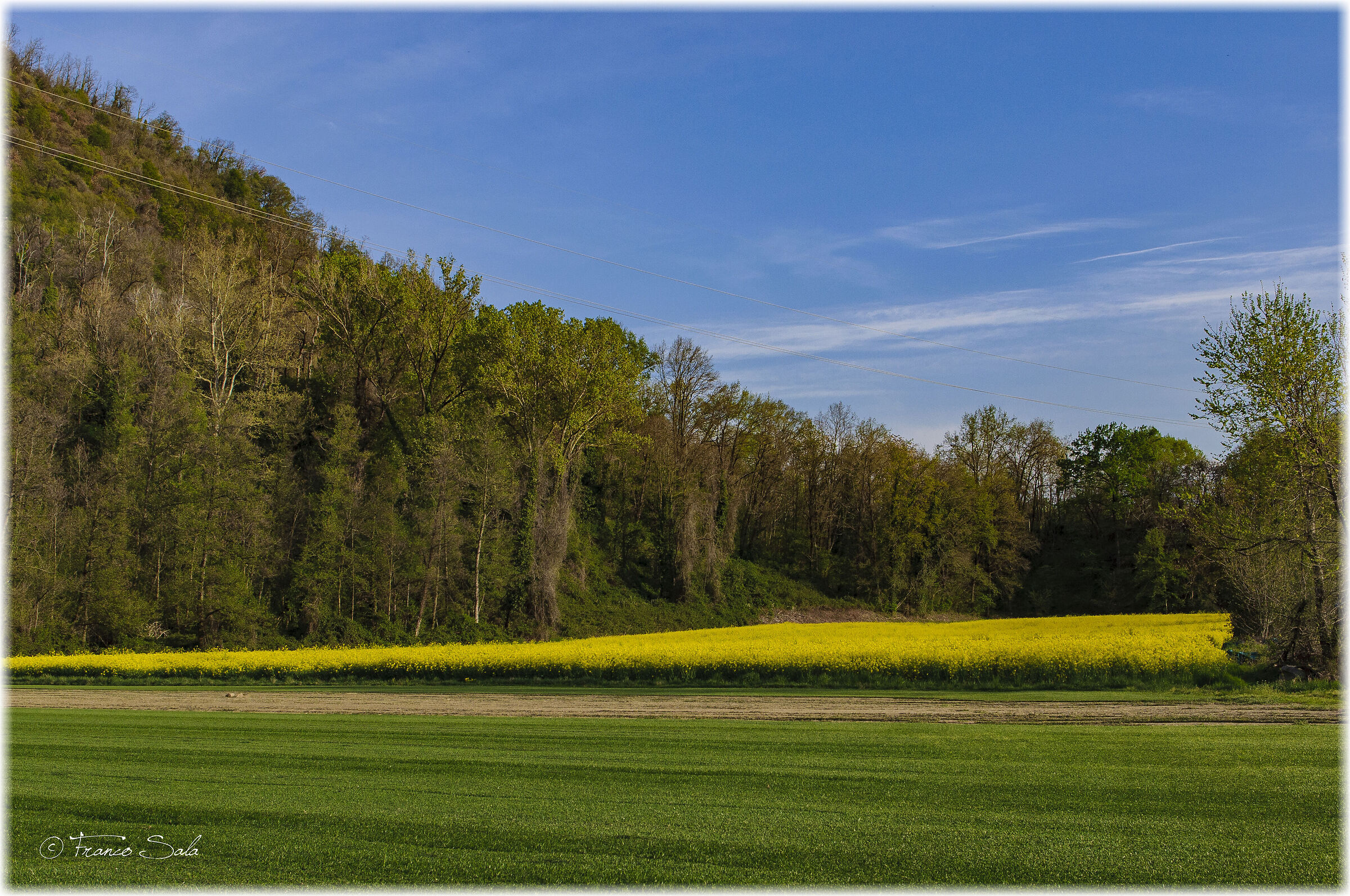 The colors of spring