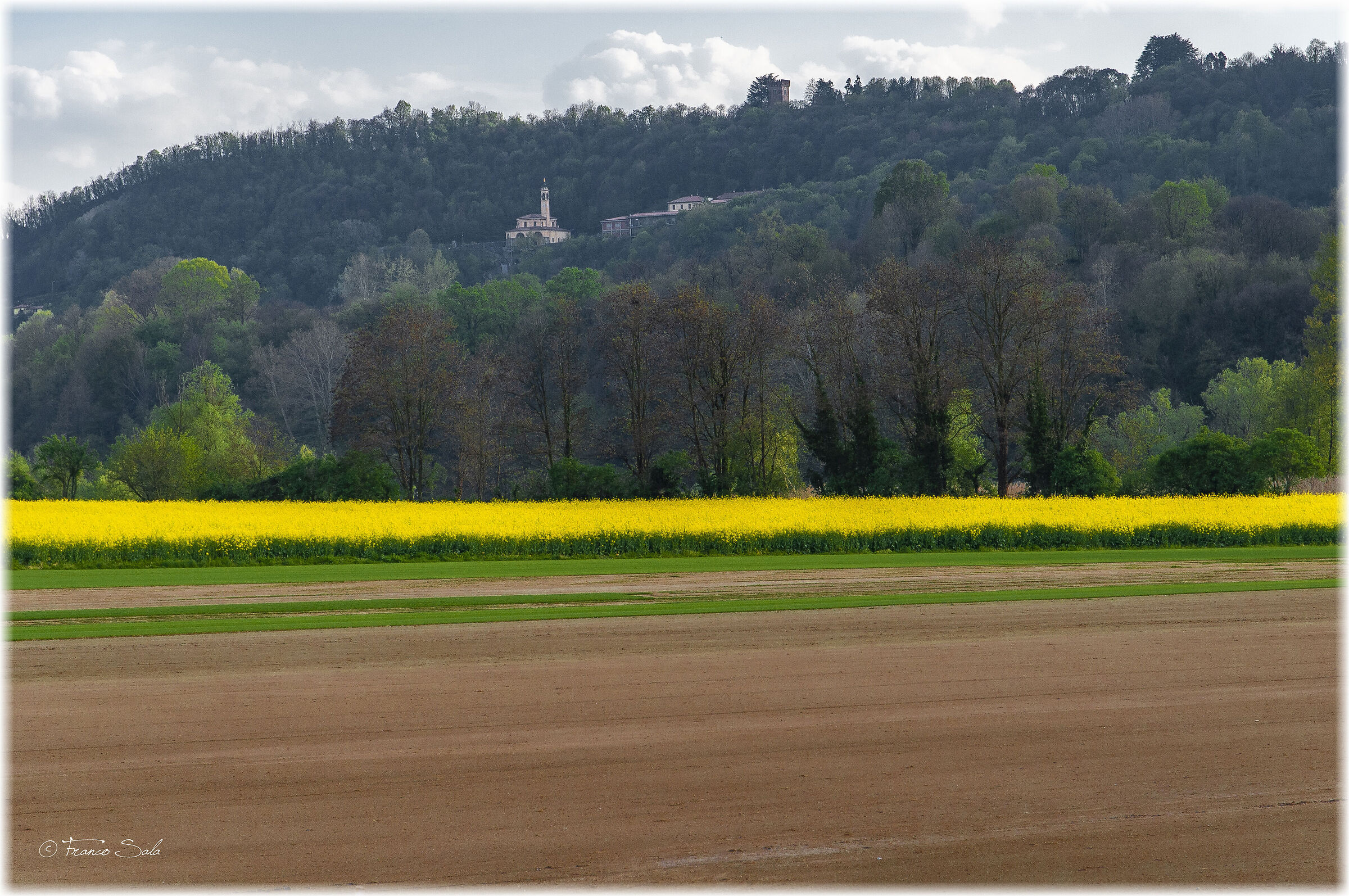 The colors of spring