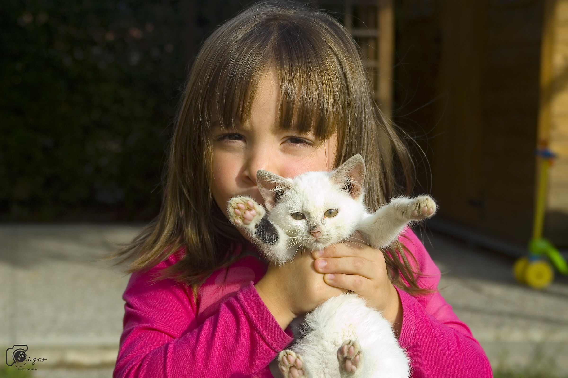 Come è bello il mio gattino...