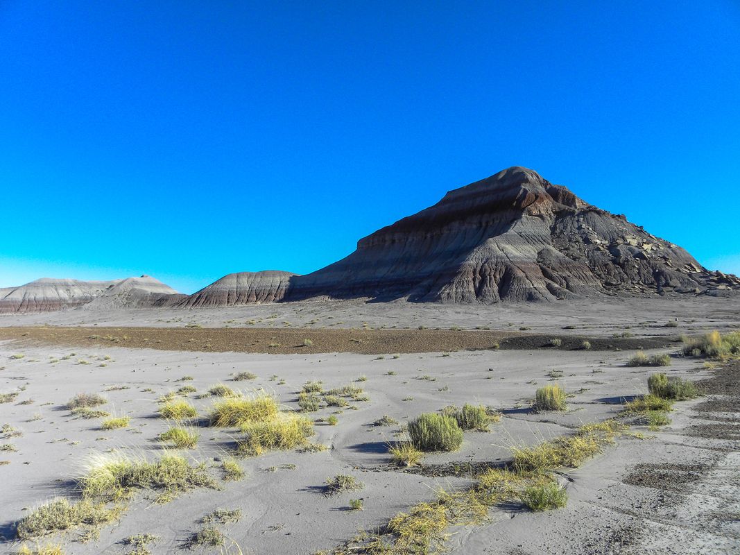 USA - Painted Desert/Petrified Forest - Arizona