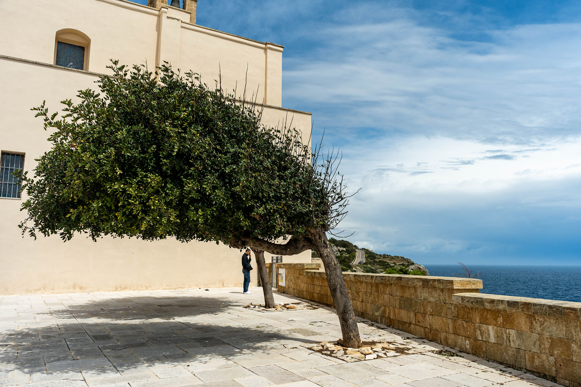 Vento da Sud, dominante. SM di Leuca Santuario