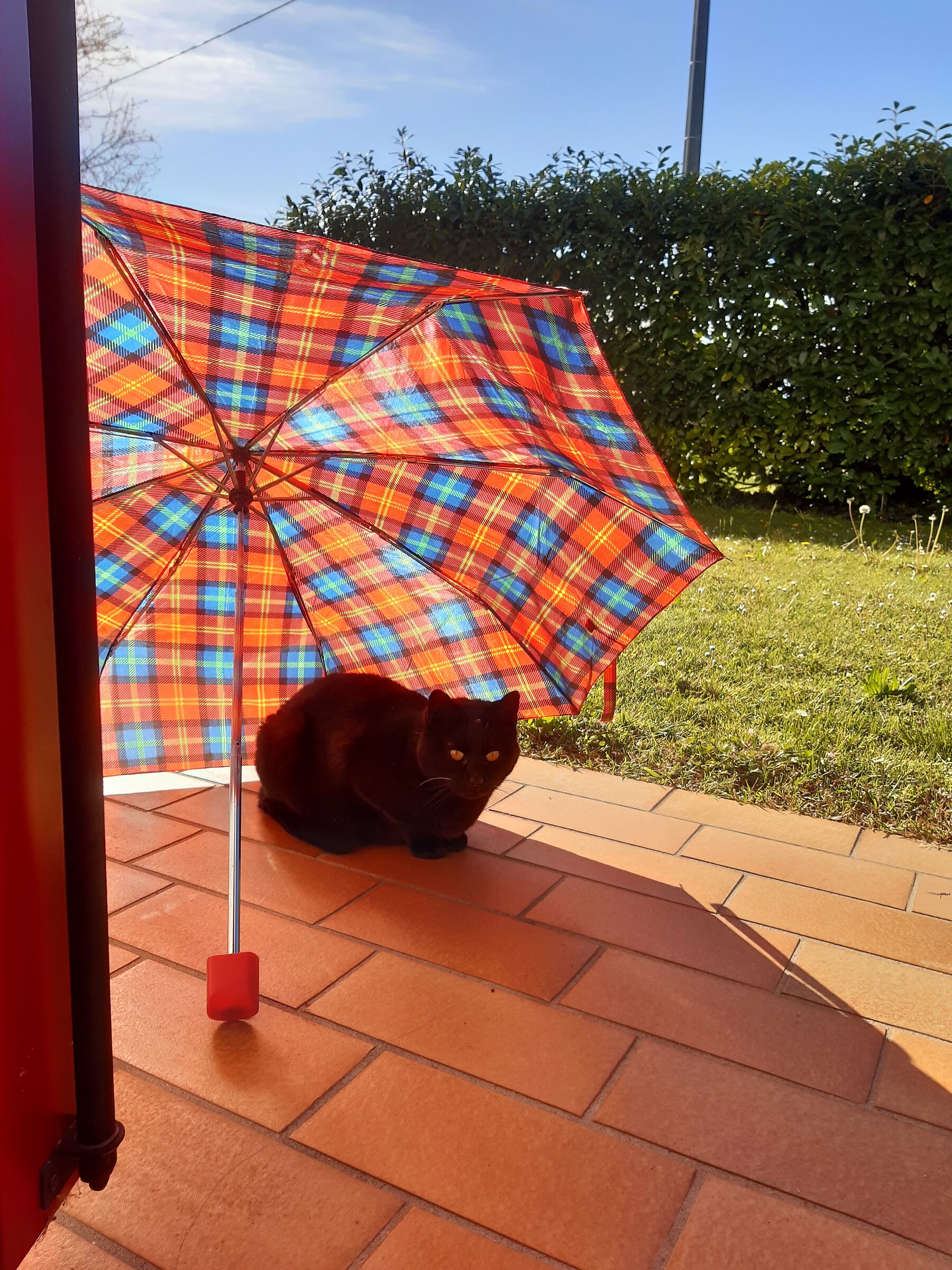 Ripariamoci un poco...