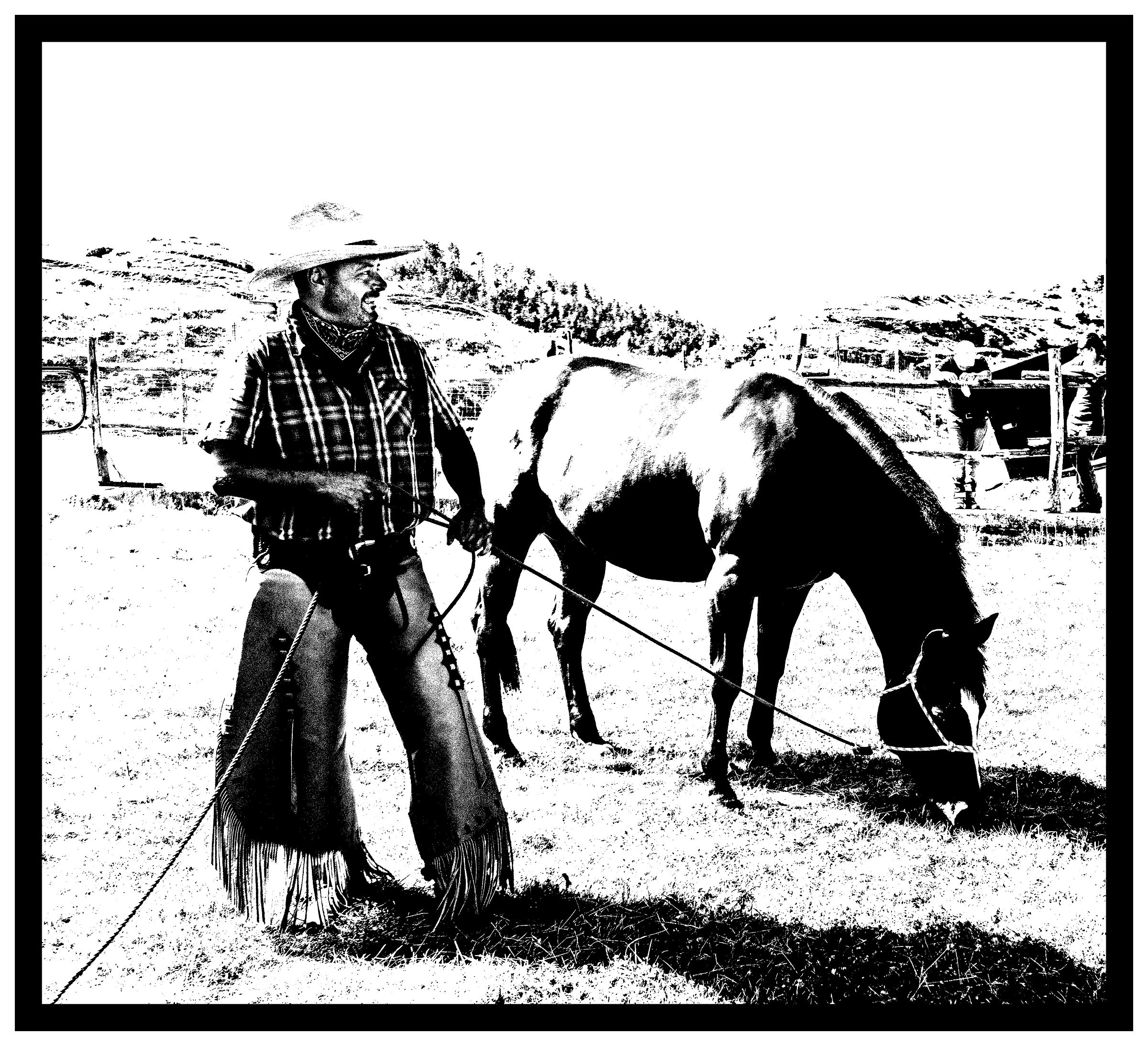 Buttero in the paddock