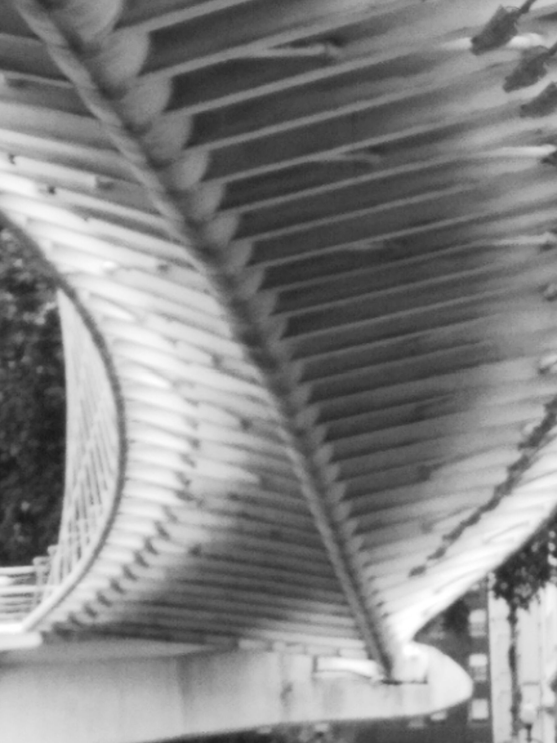 Calatrava