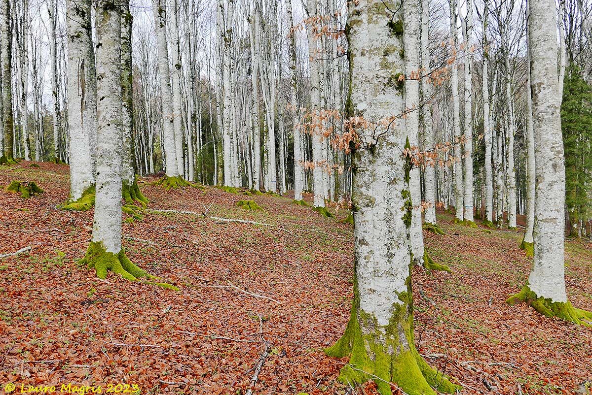 Ricordi di fine autunno
