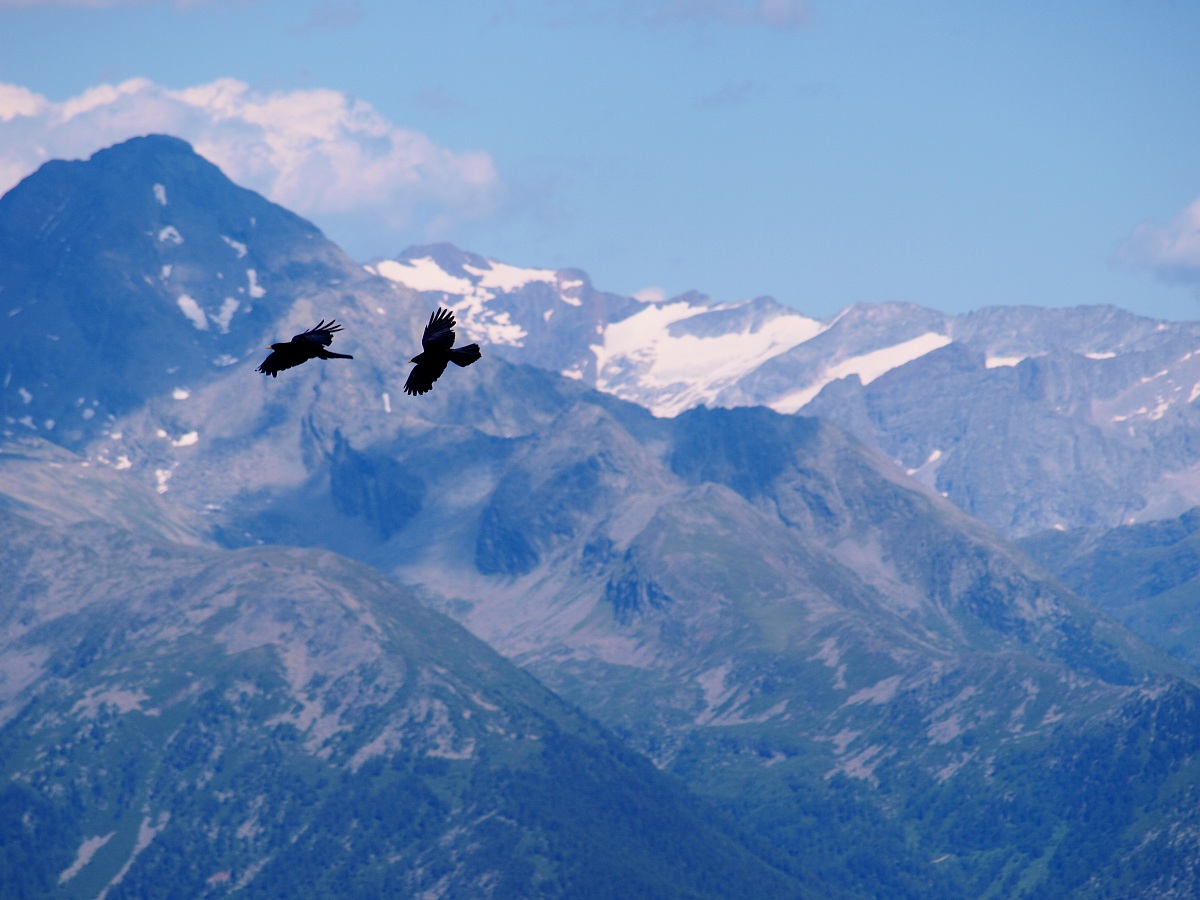 In volo tra i monti del Trentino.