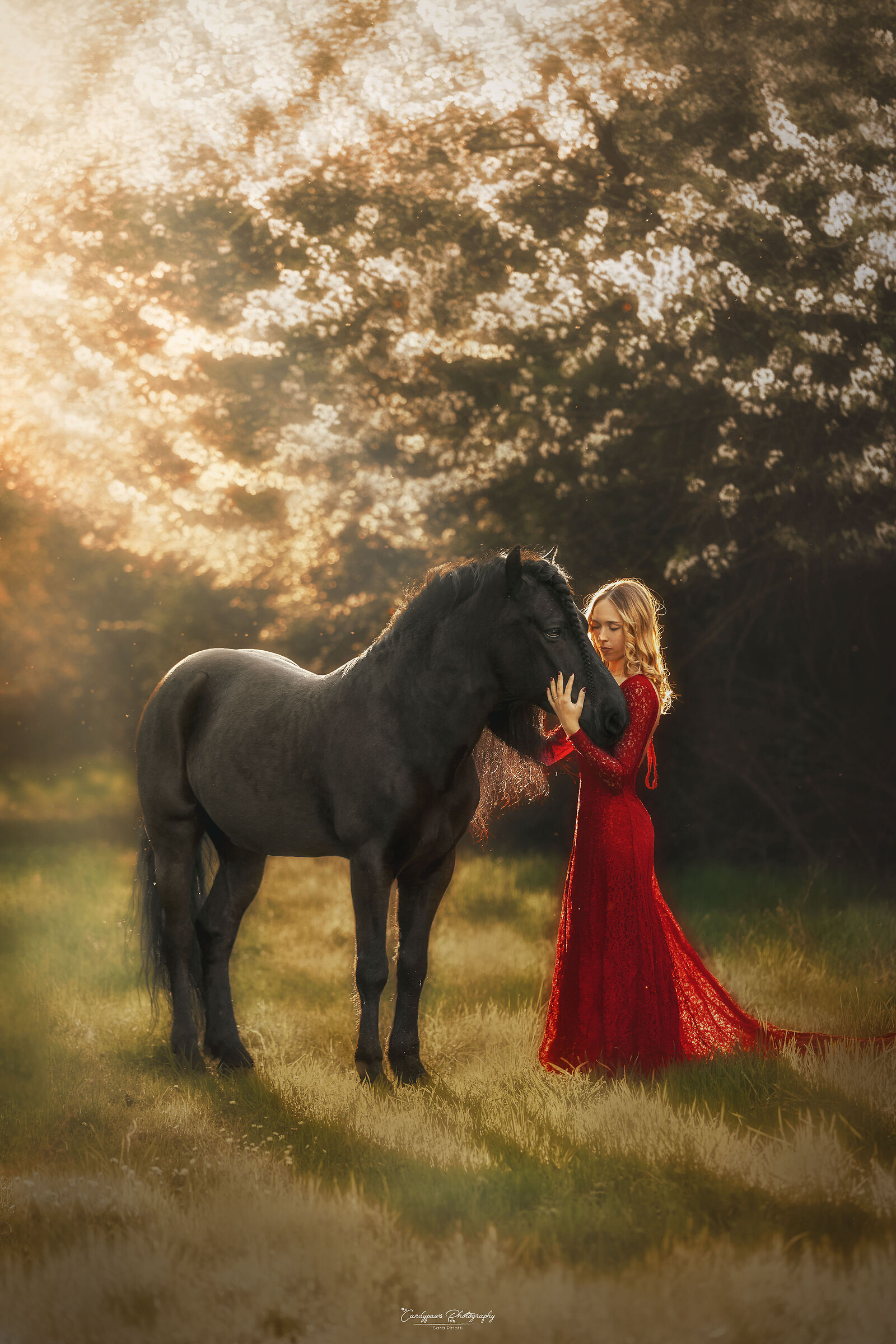 Francesca and Bramante