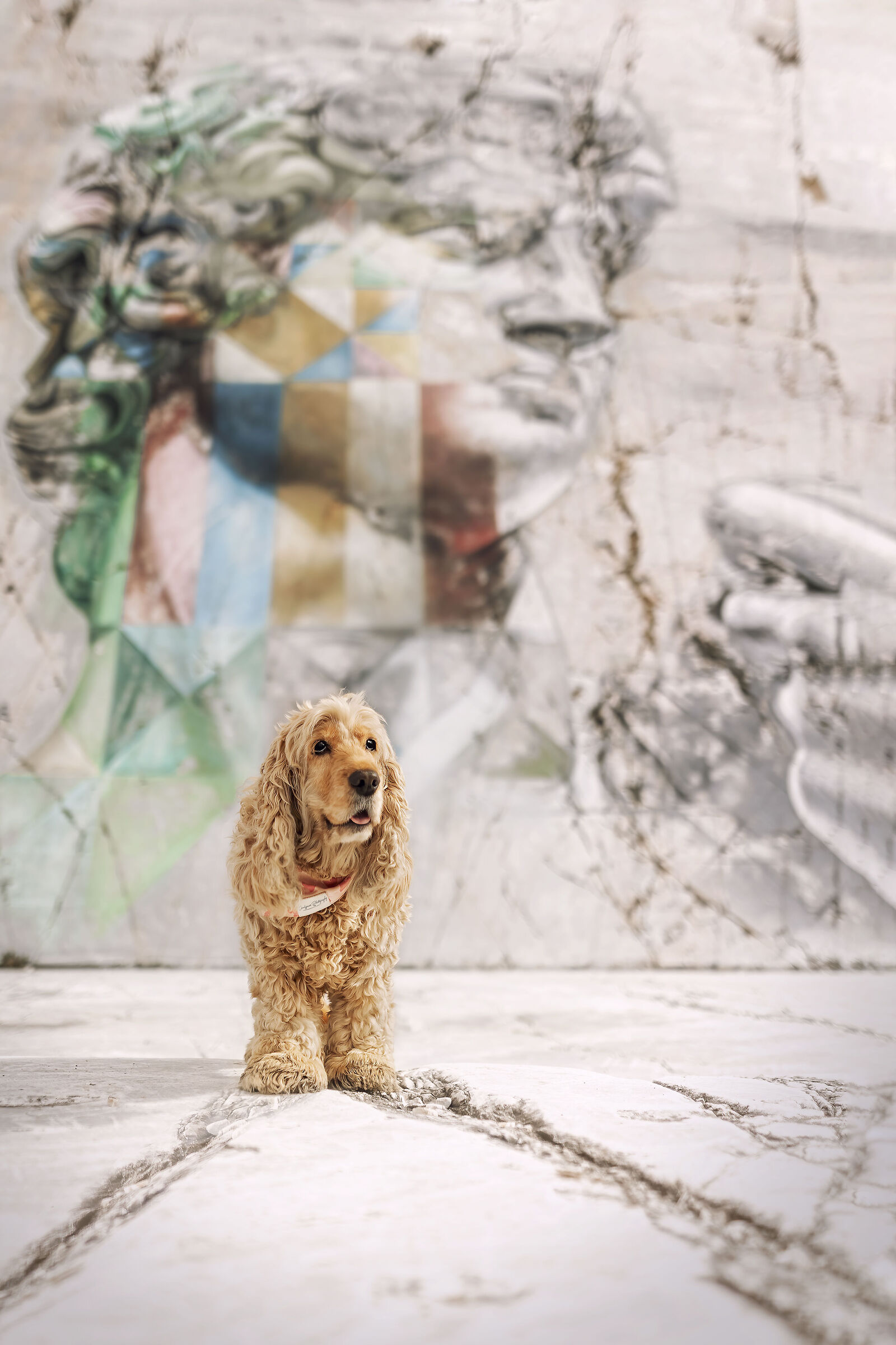 The David of Cava Gioia