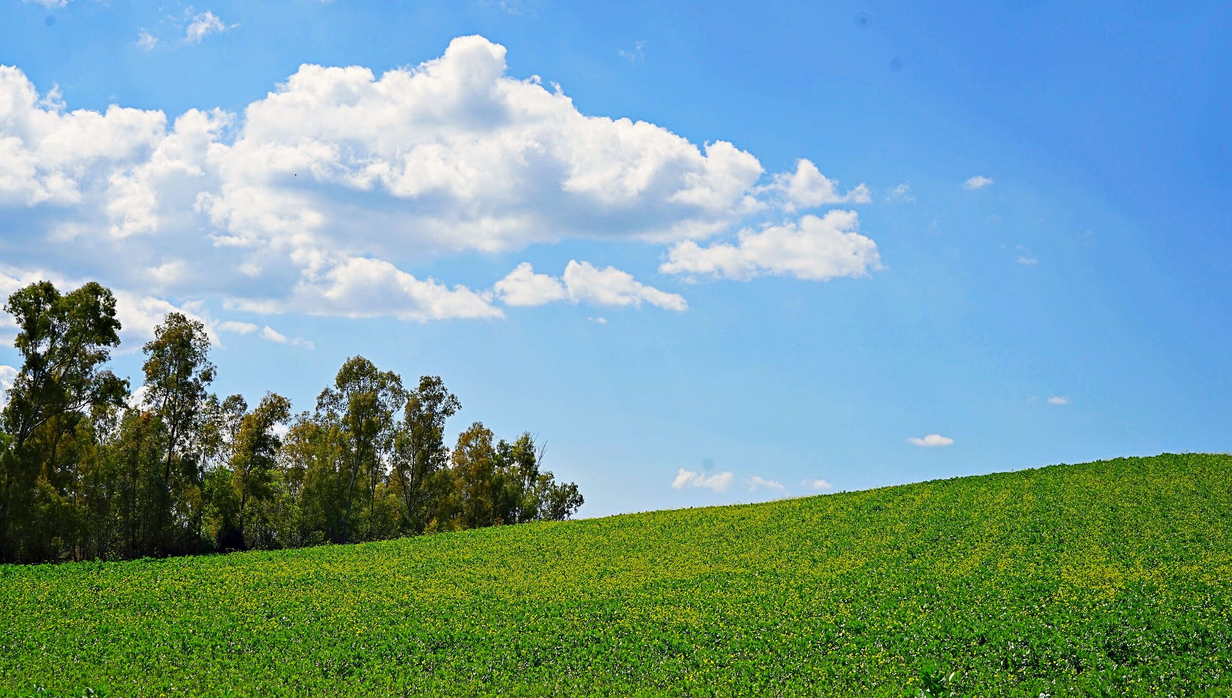 Maremma