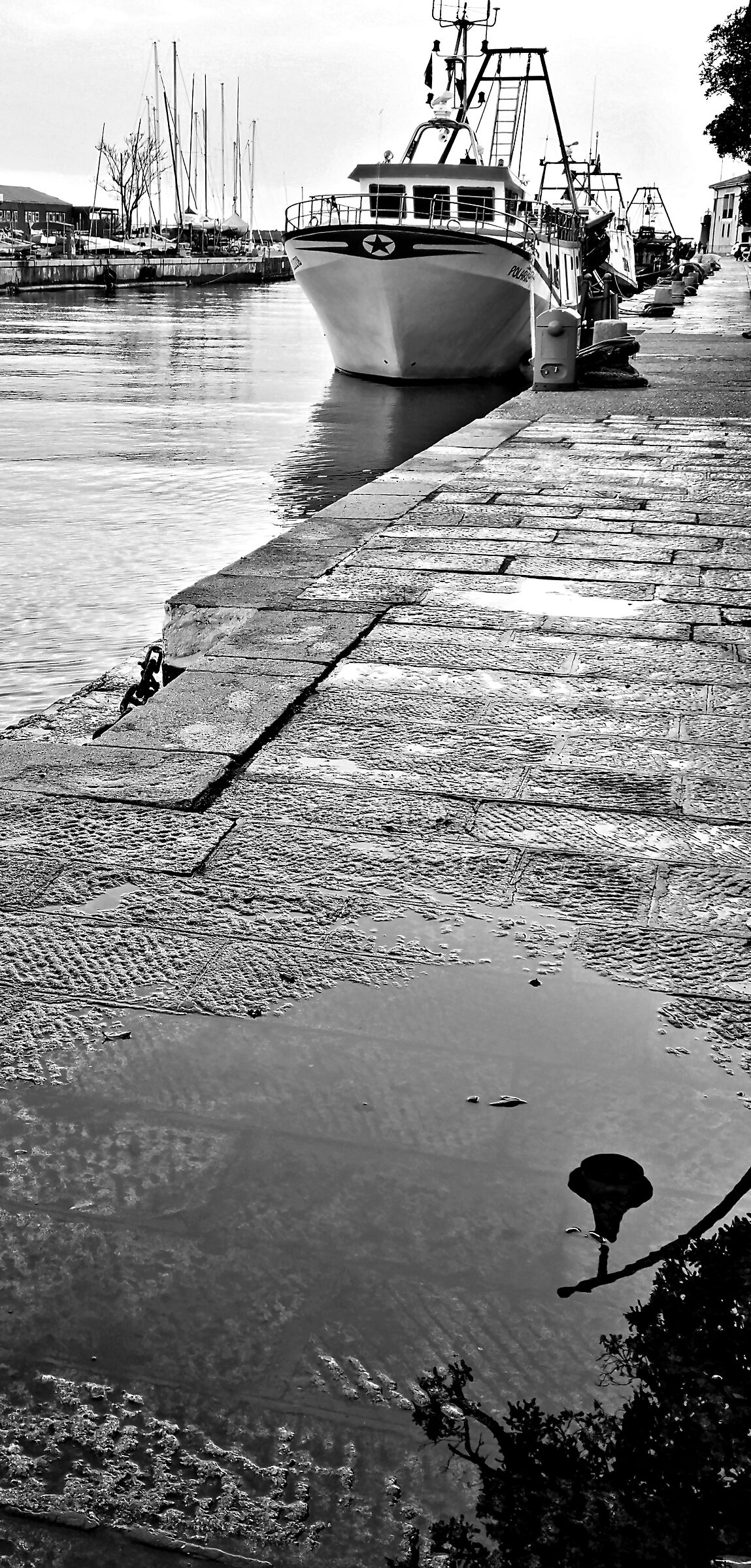 Castiglione della Pescaia