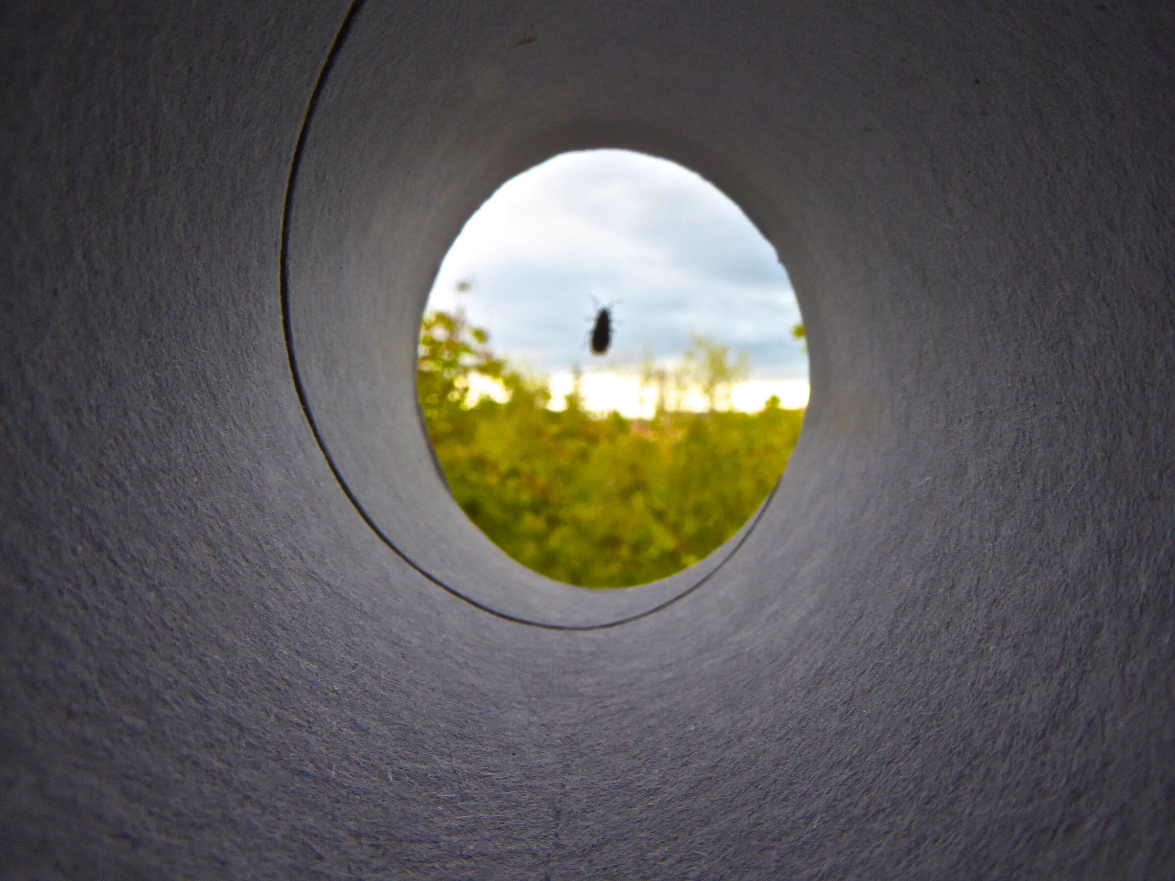Inside the spiral