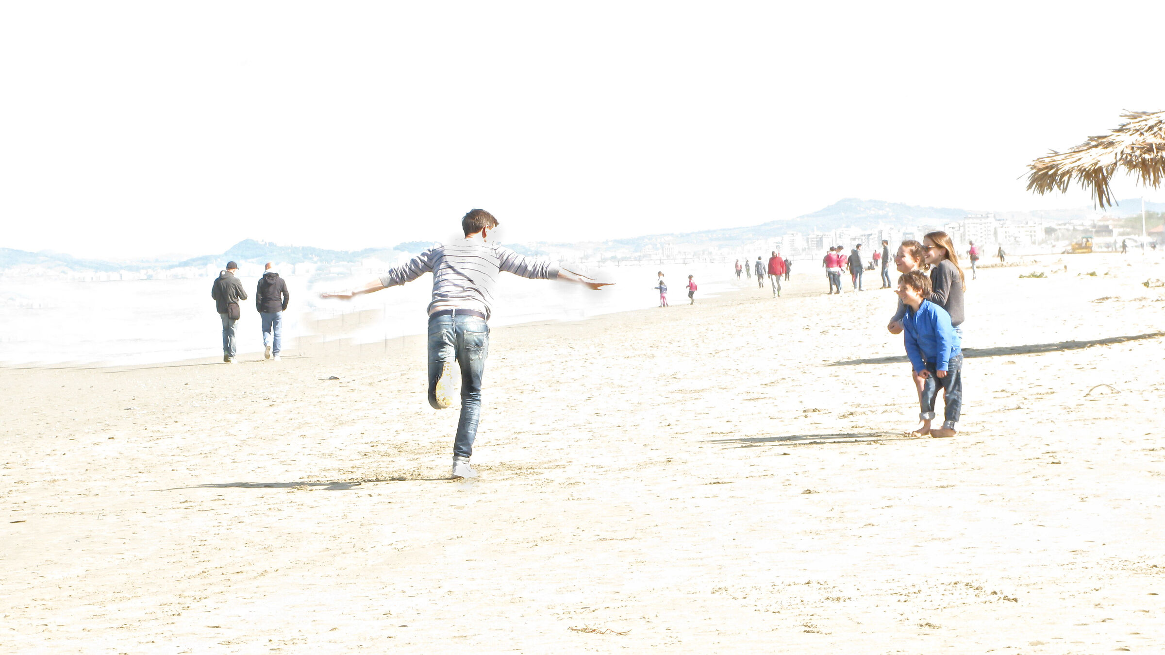 Fly