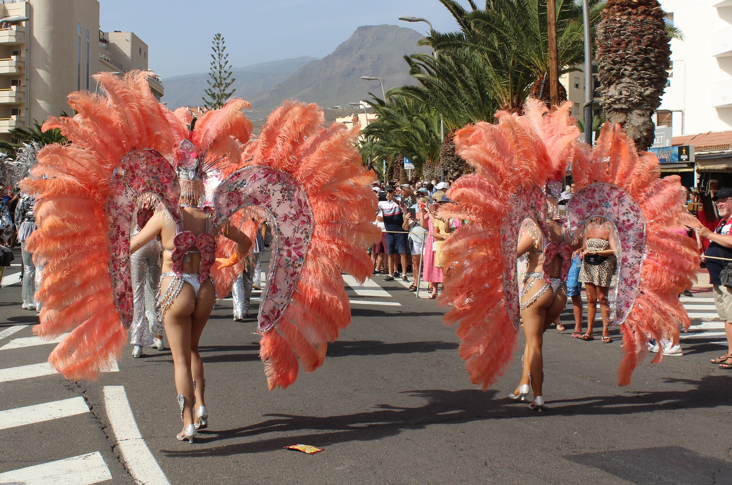Angeli rosa a Los Cristianos - Tenerife