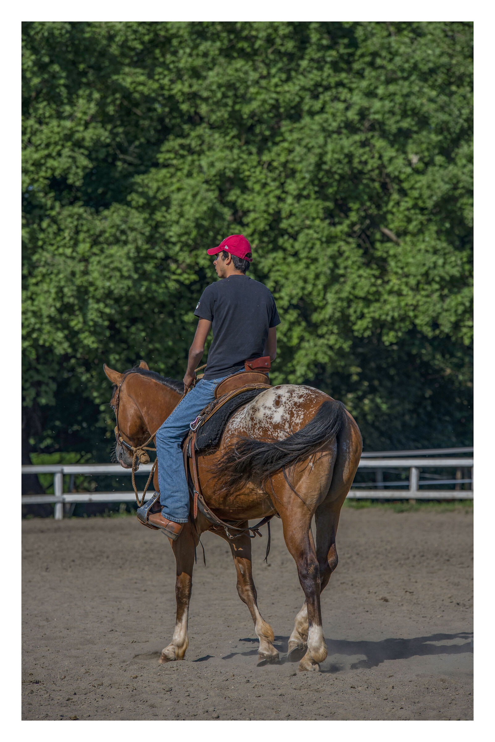 Alè vai....trroootto...