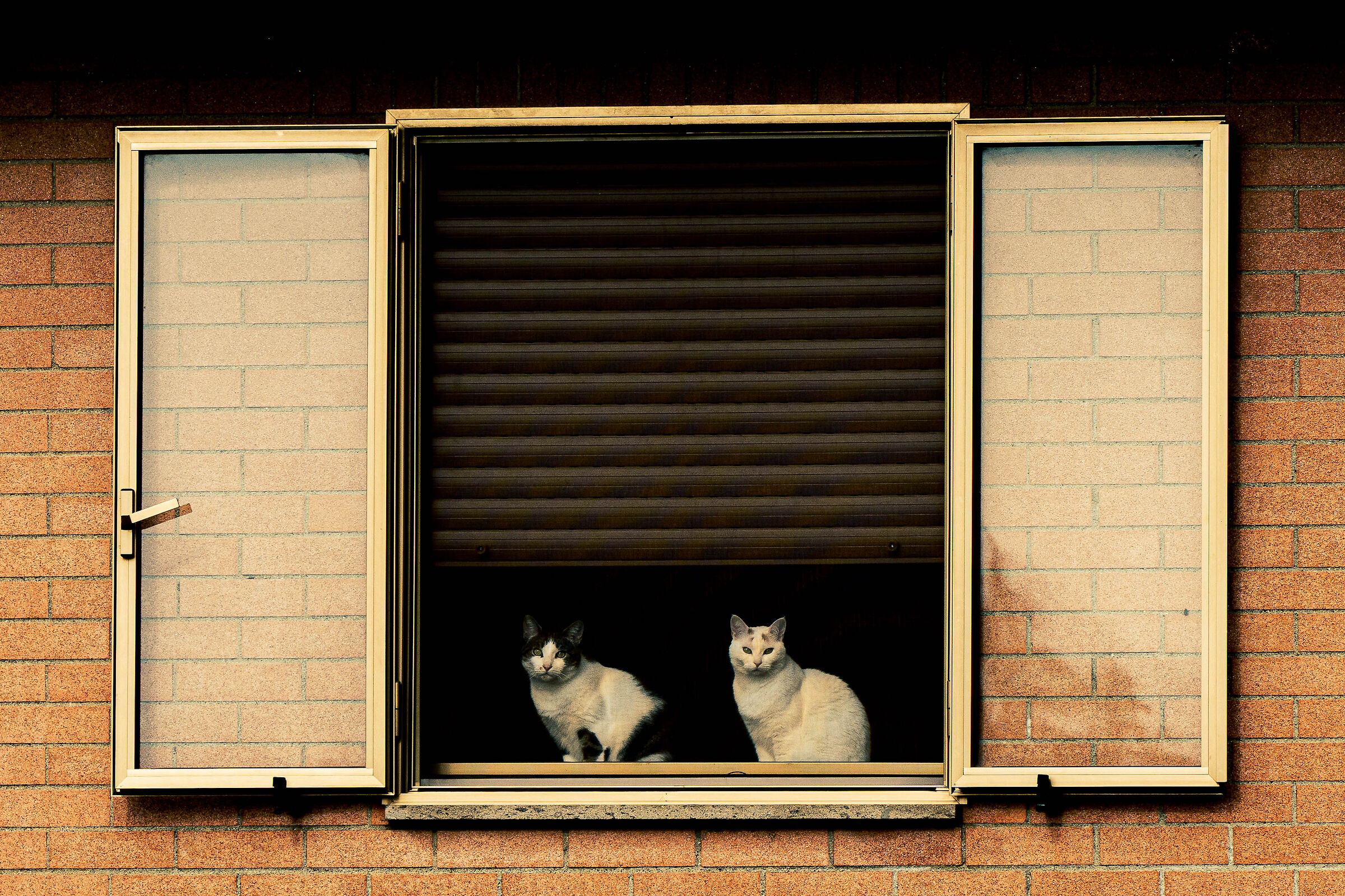 Statler and Waldorf, the gruff elders of the Muppet Show