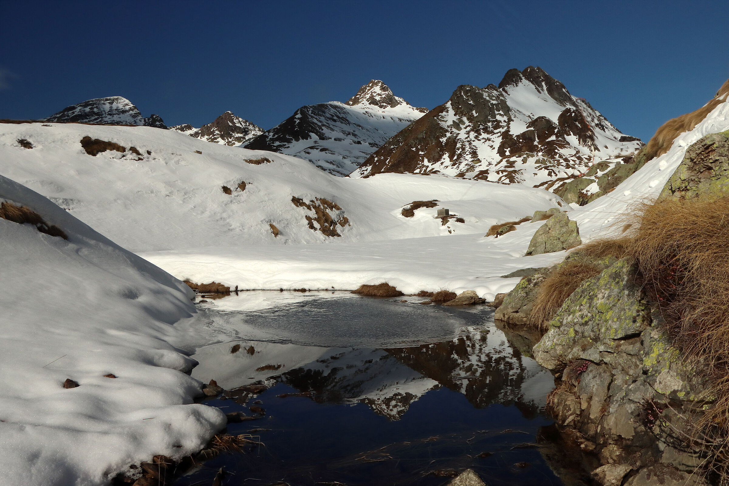 Pradella lace (it's spring...)
