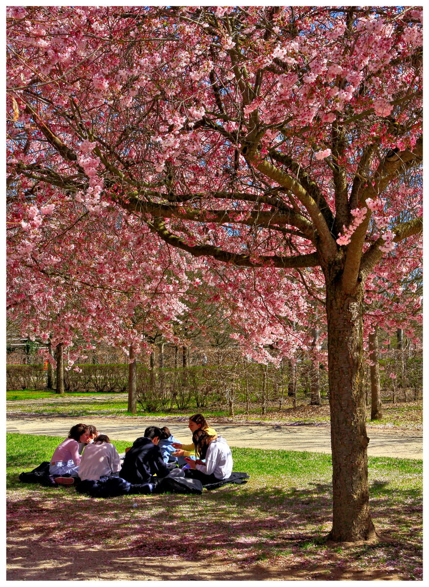 "Breakfast on the grass" - Venaria Reale (TO) 2023