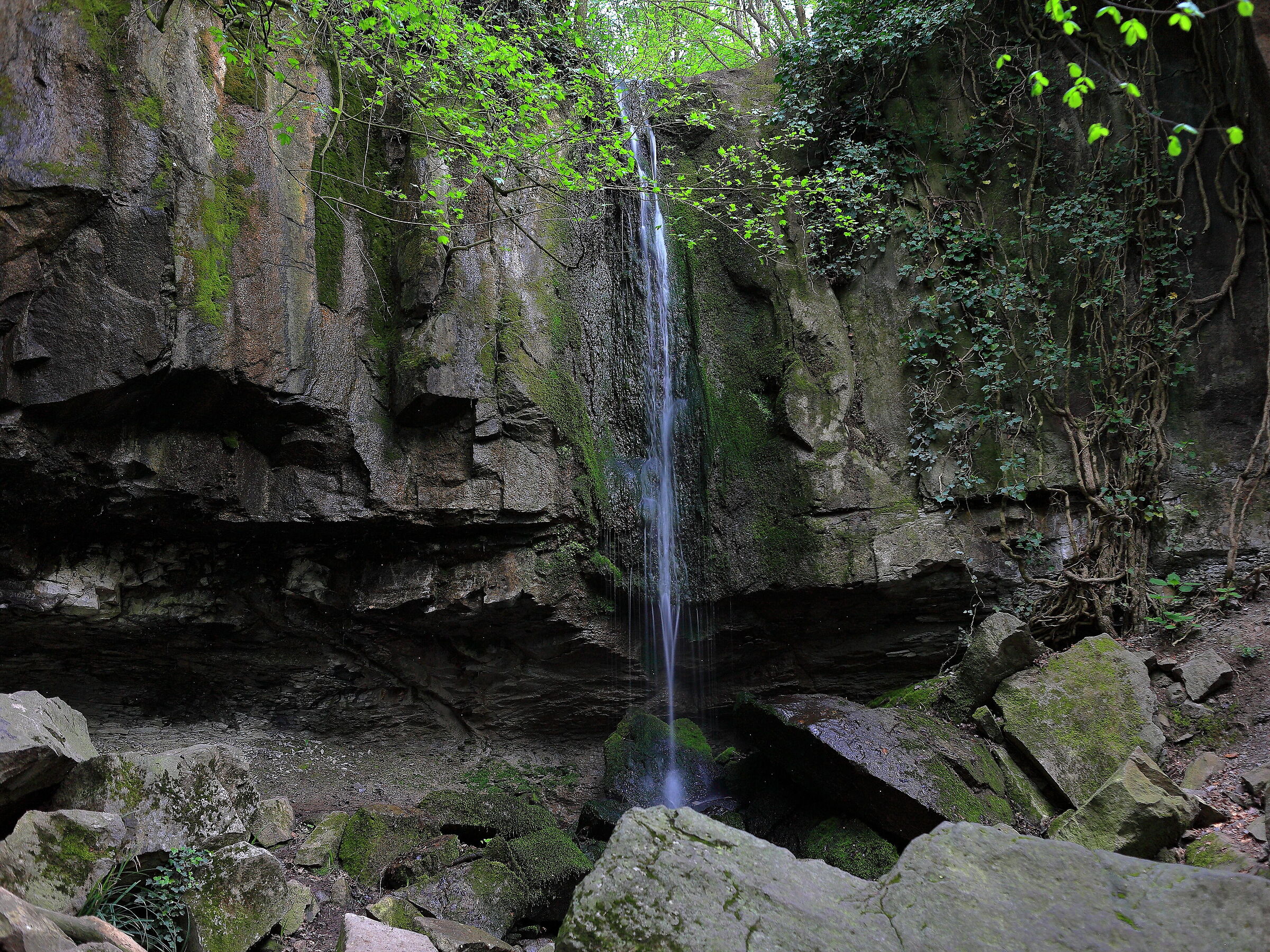 Cascata di Schivanoia (Castelnuovo di Teolo) PD