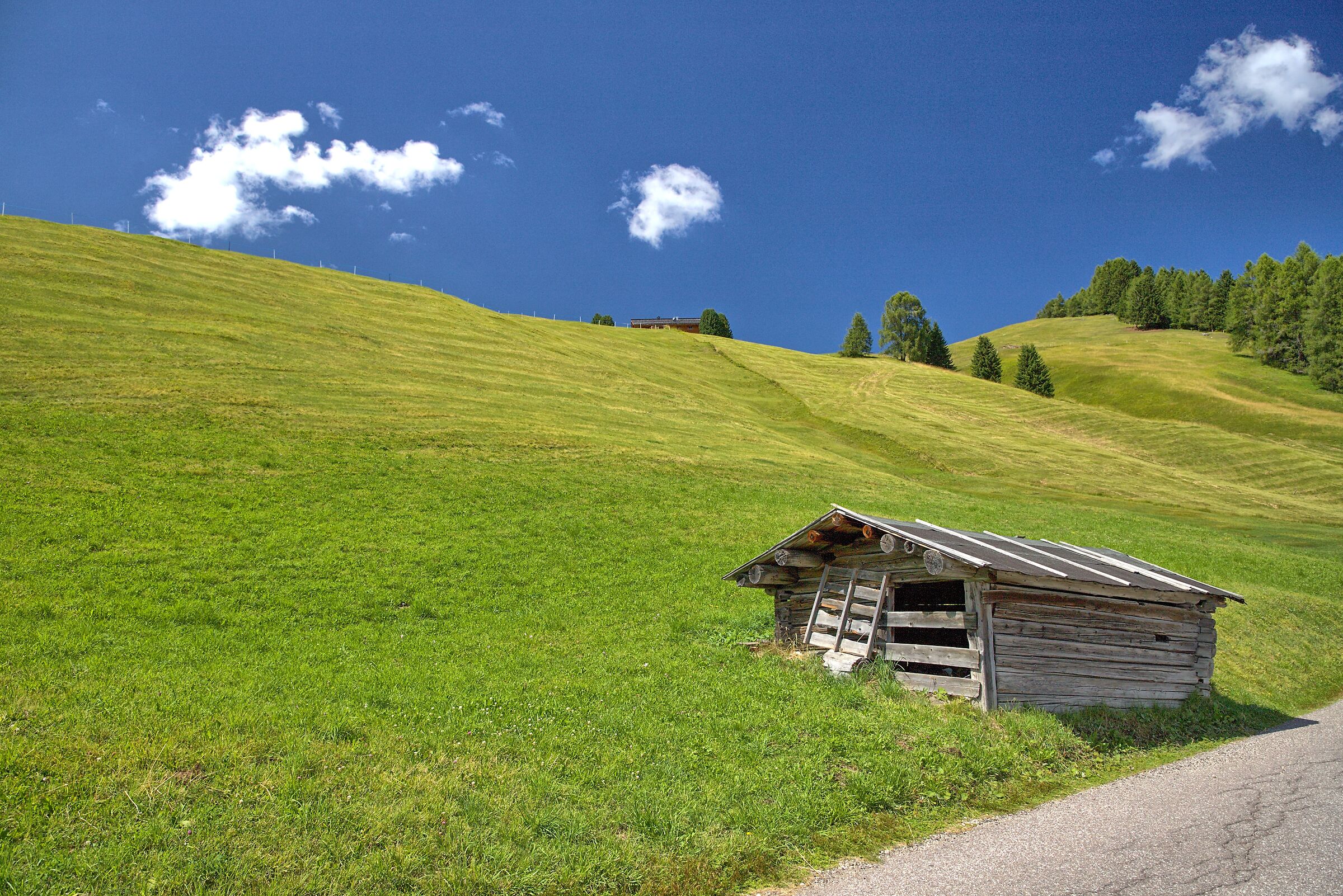 Saltria - Alpe di Siusi (BZ) Italy
