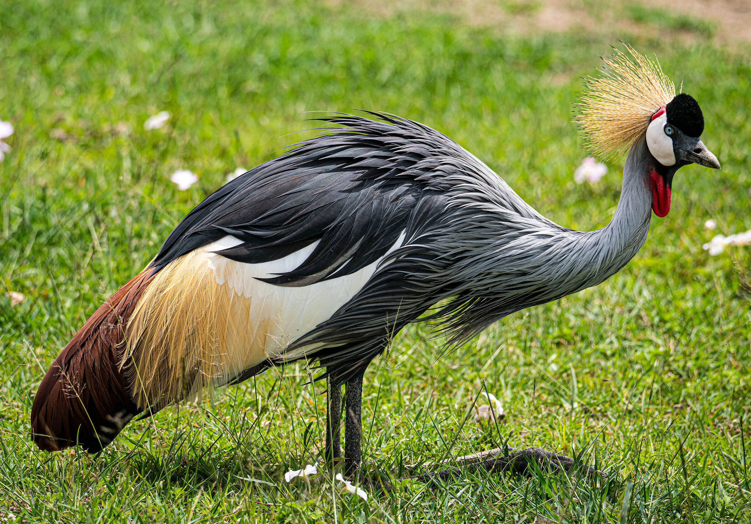 Tanzania 3