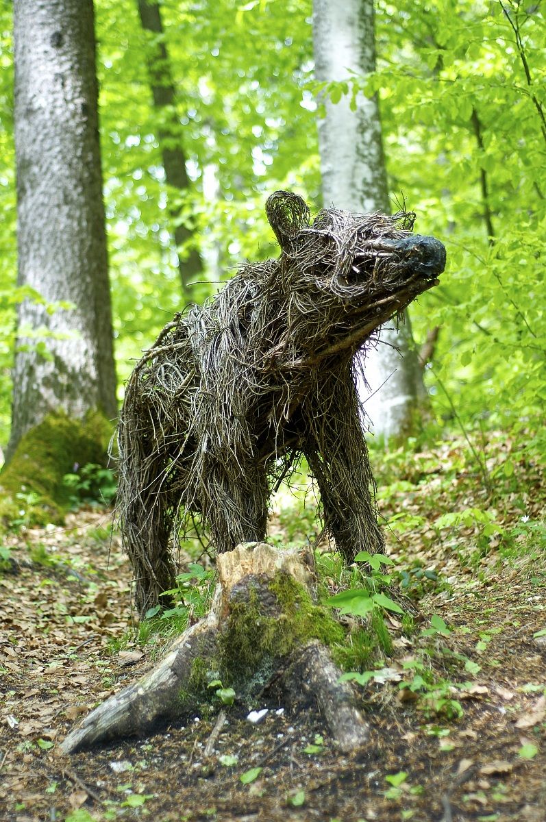 encounter with the bear!