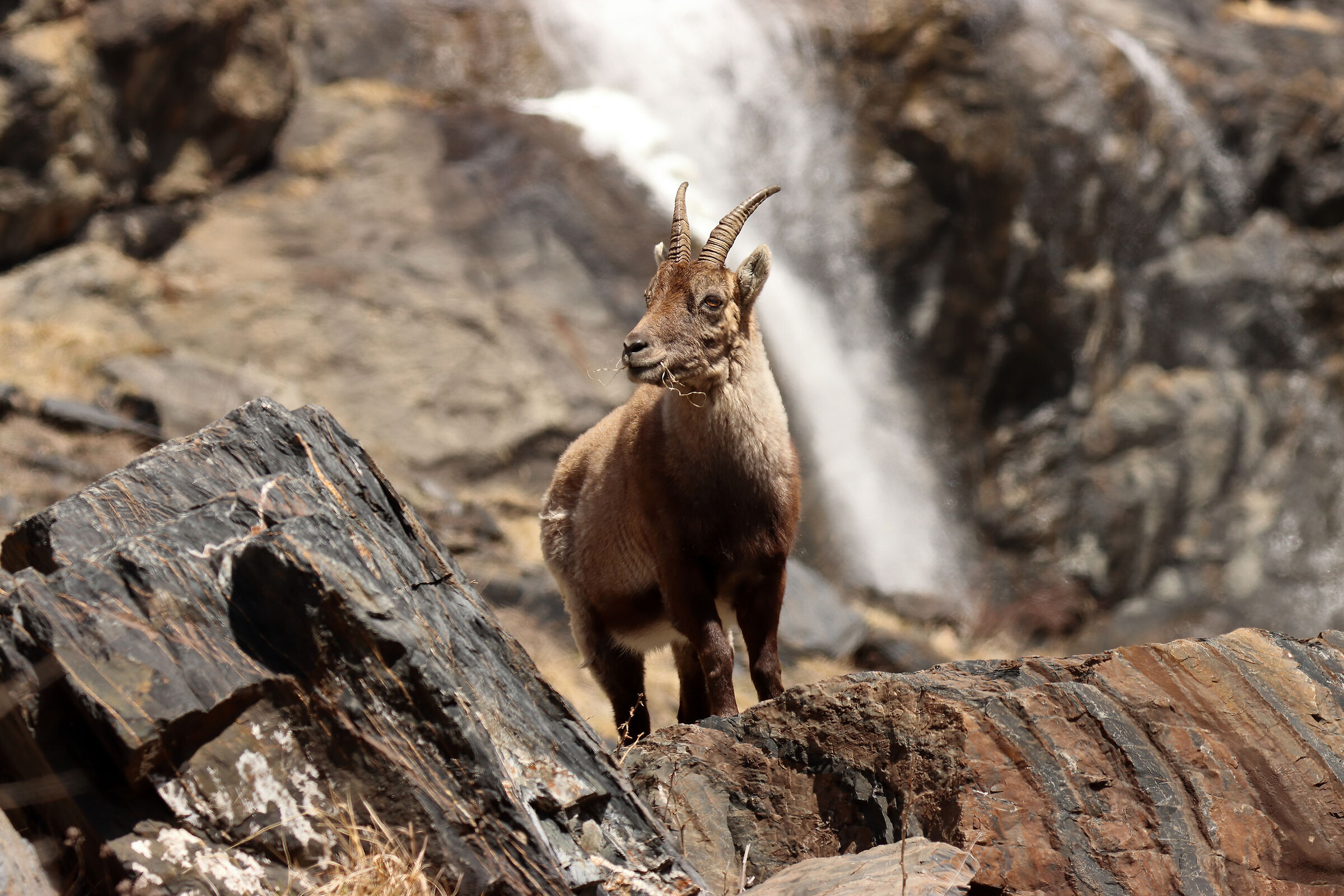 alla cascata del Serio