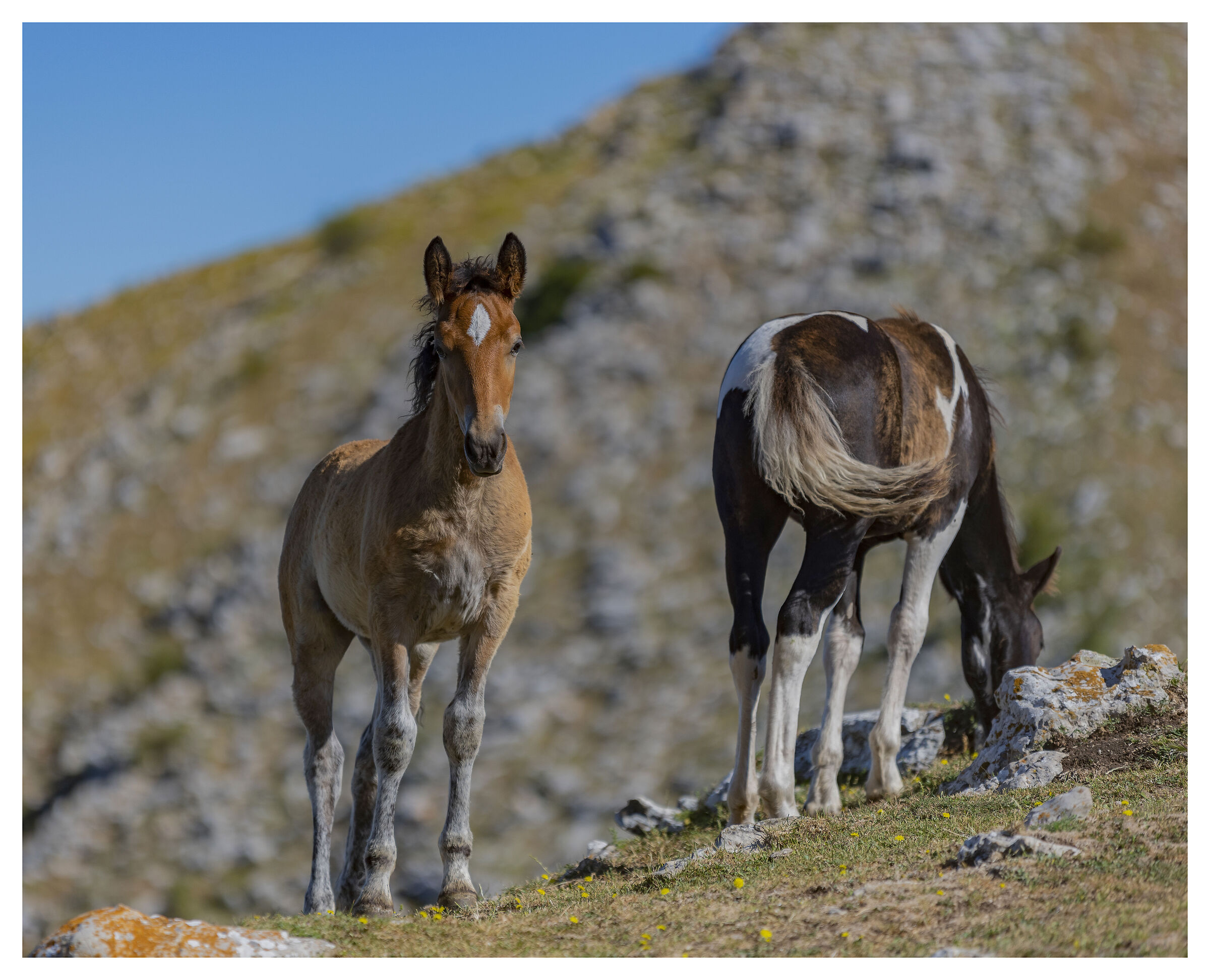 Mamma c'è uno che ci guarda....