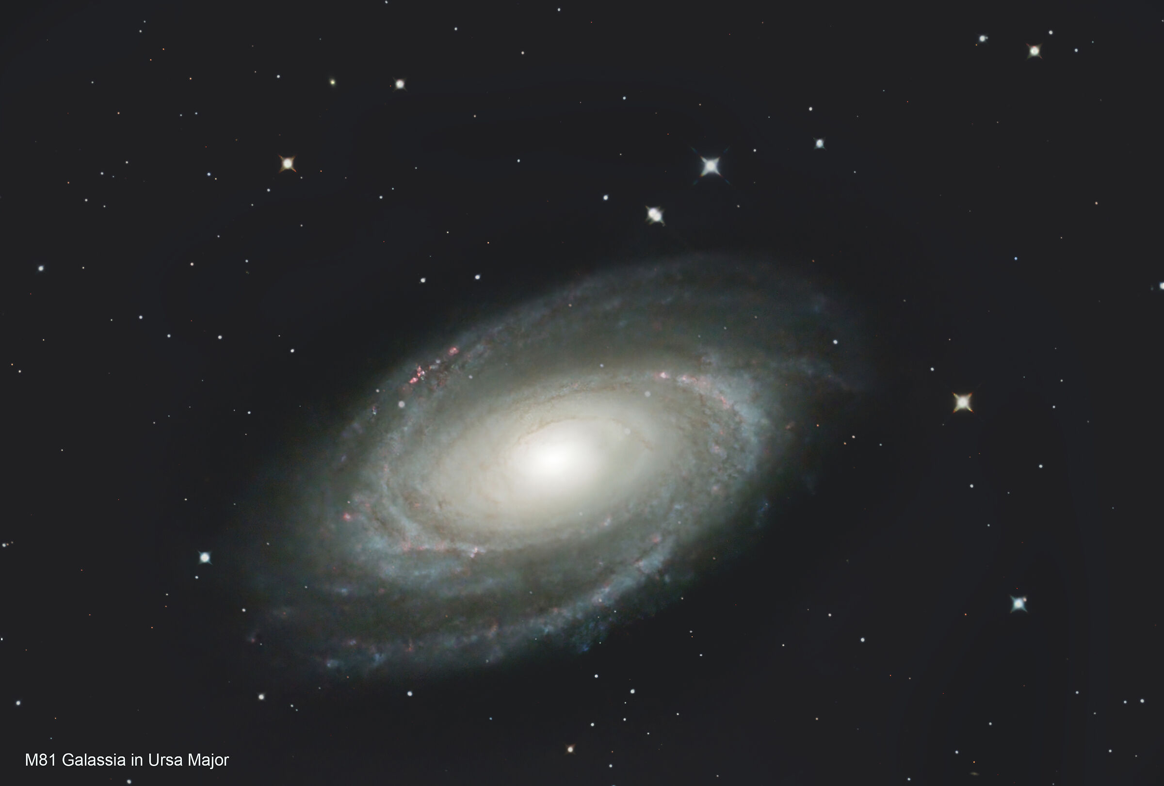 galaxy m81 in ursa major