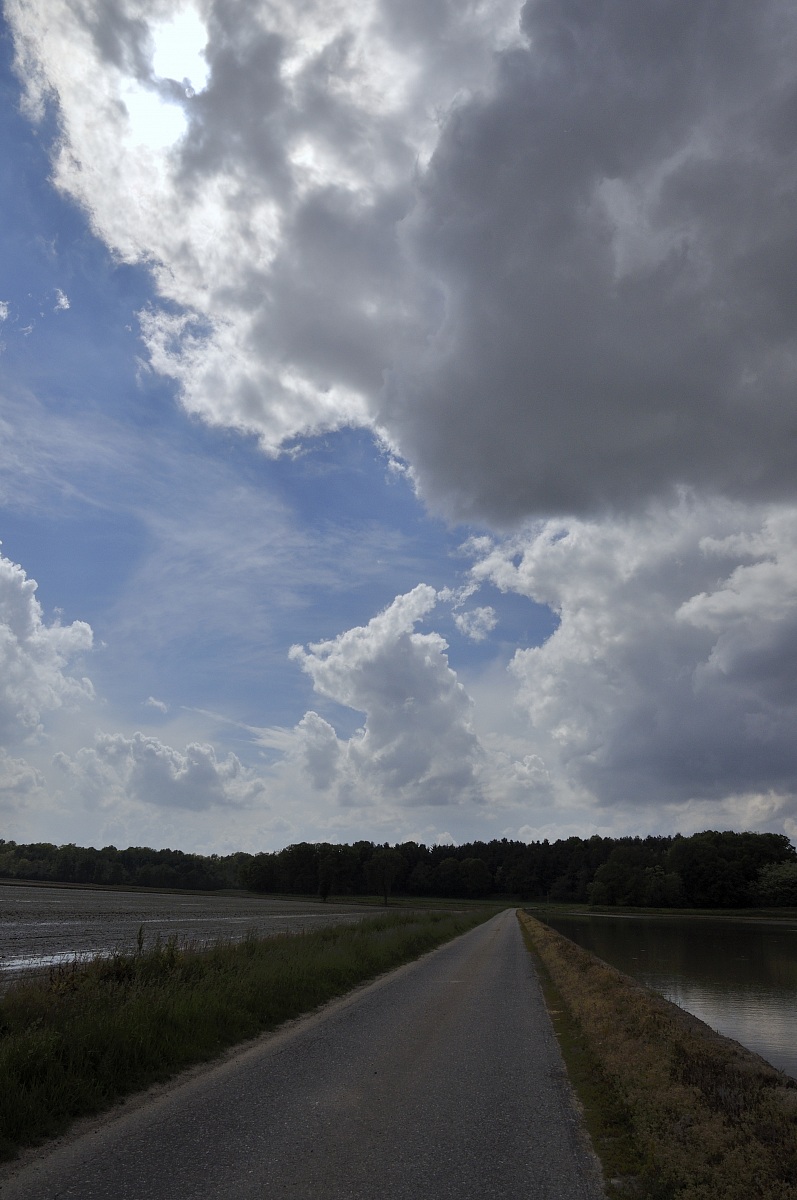 way through the rice paddies