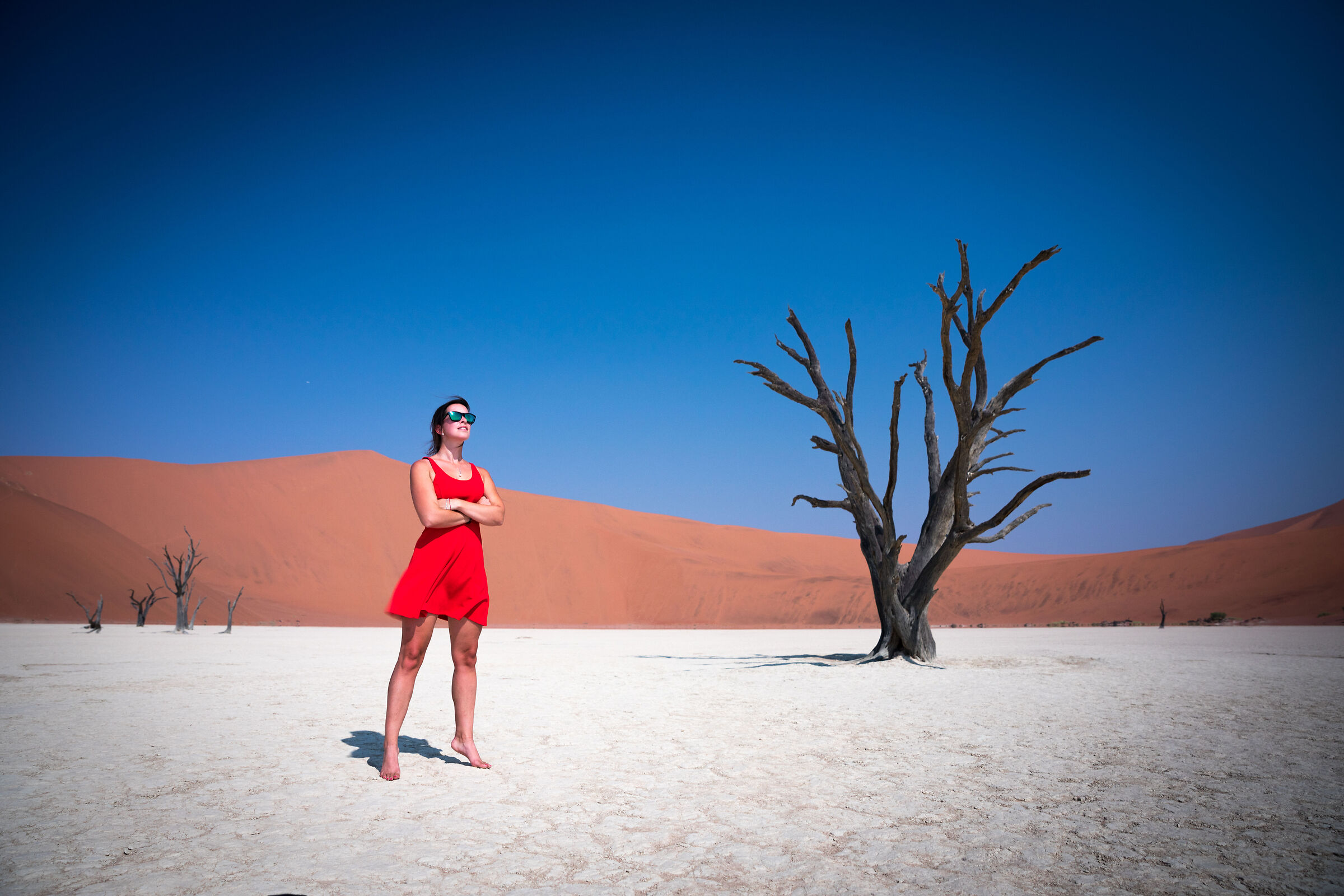 Dead Vlei, Namib Naukluft Park, Namibia