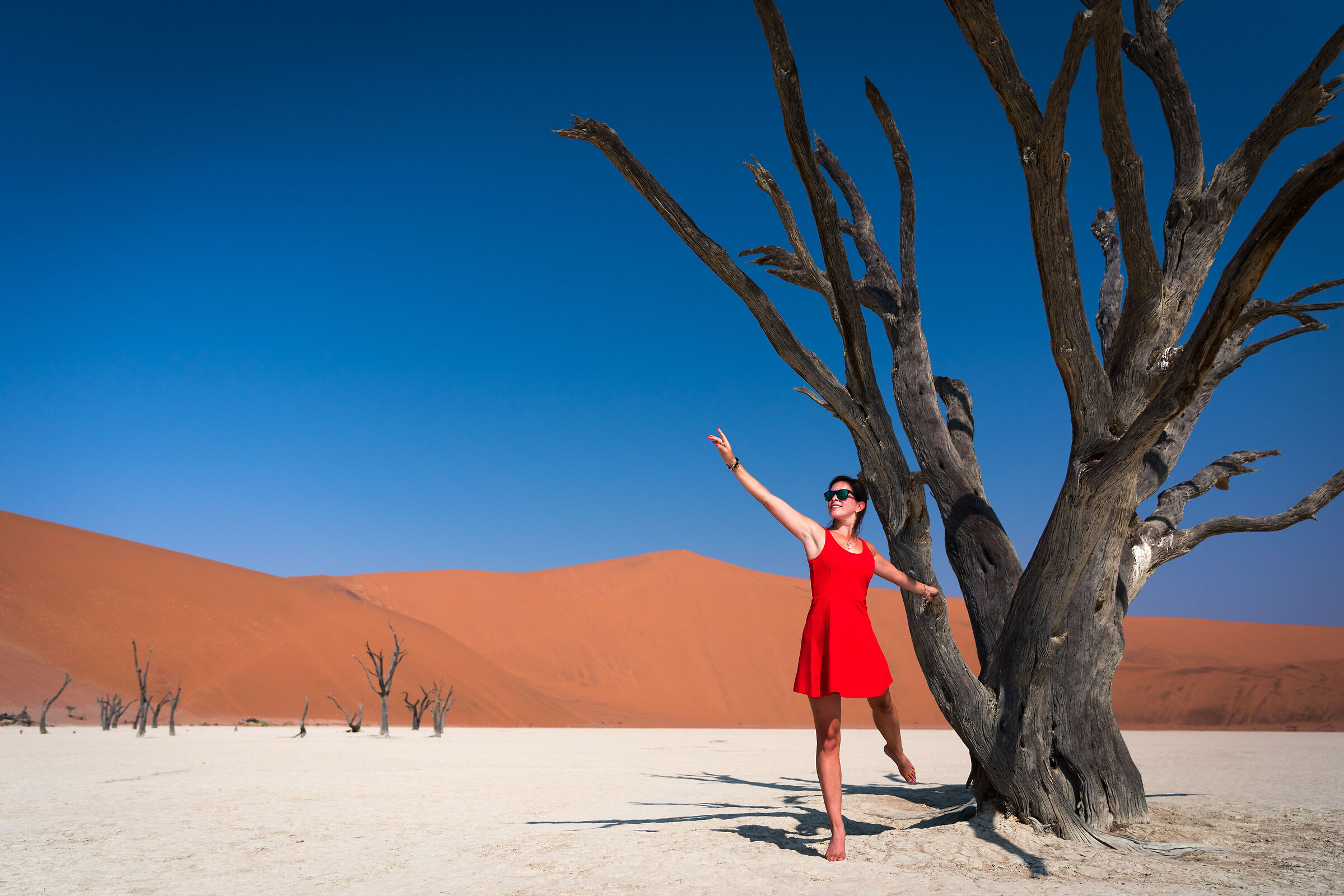 Dead Vlei, Namib Naukluft Park, Namibia