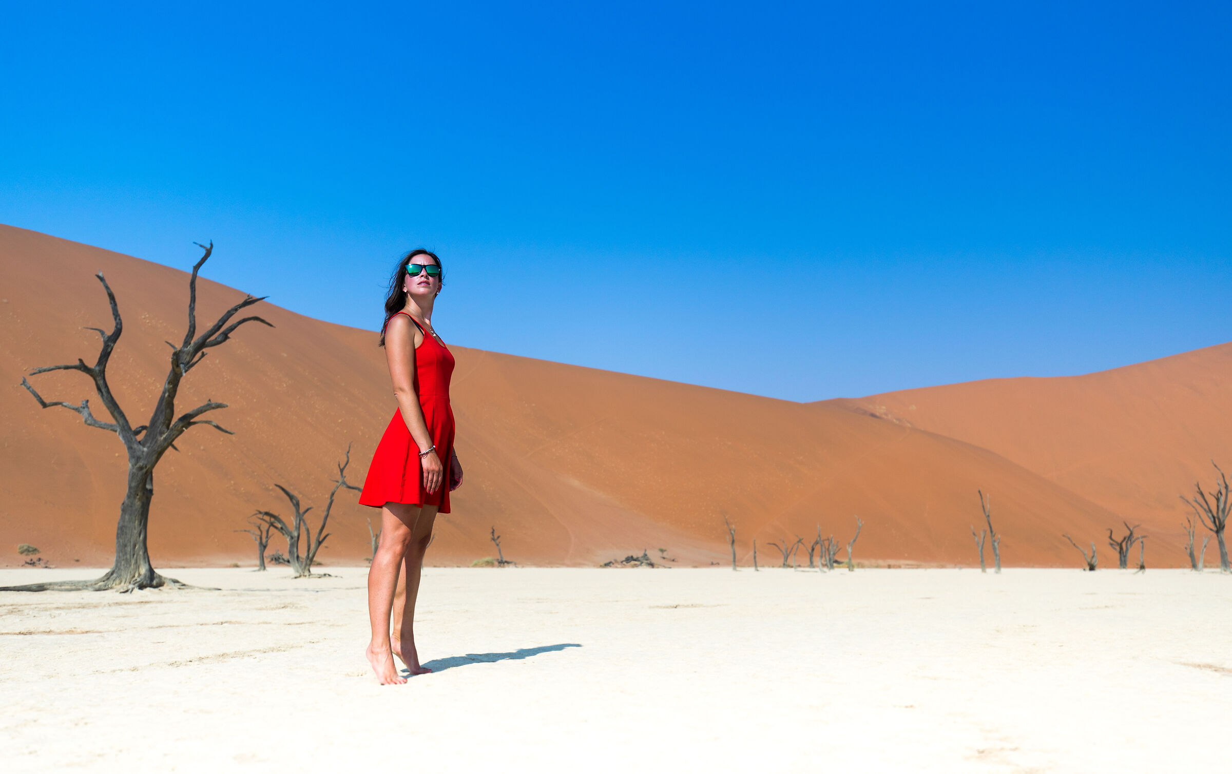 Dead Vlei, Namib Naukluft Park, Namibia