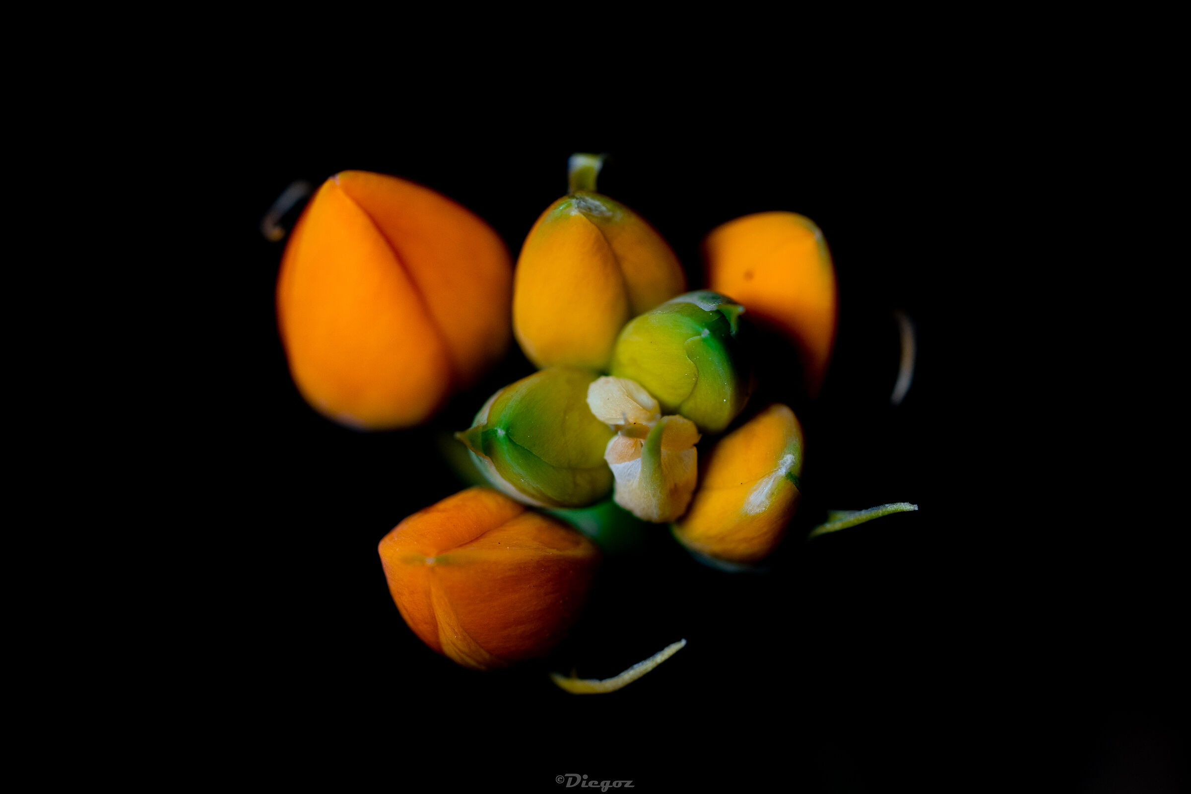 Untitled Photo