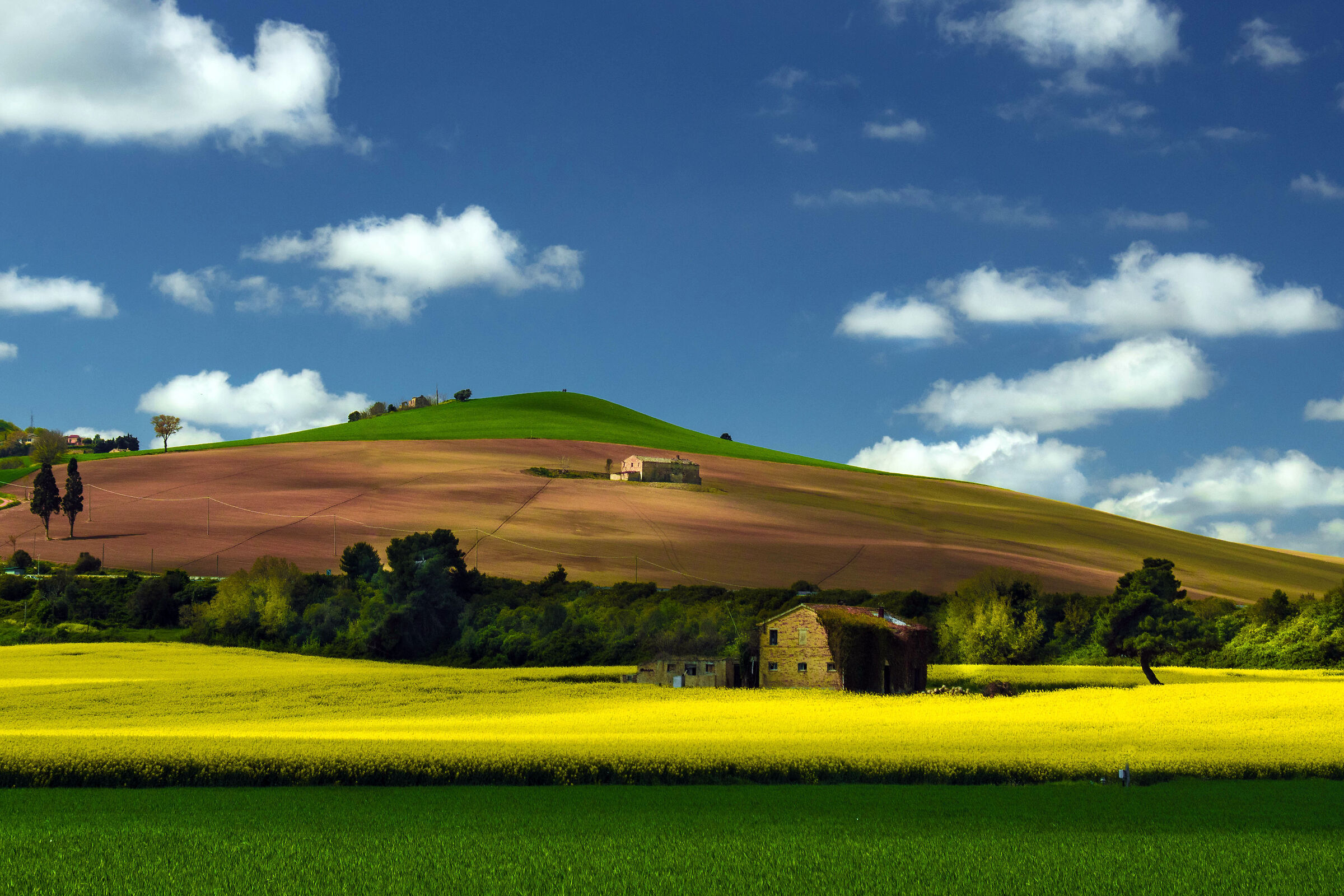 Marche countryside