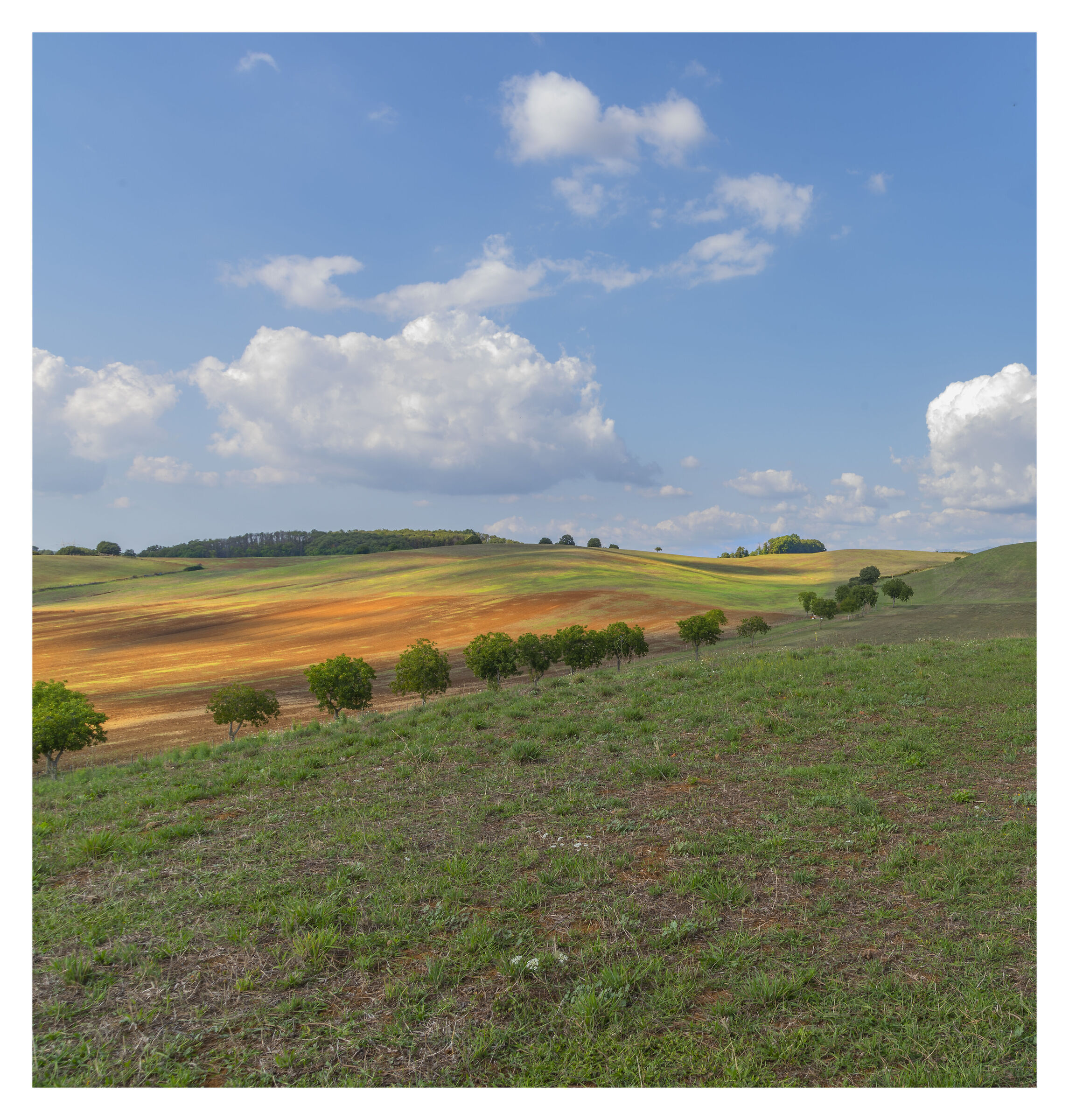 Colline e collinette