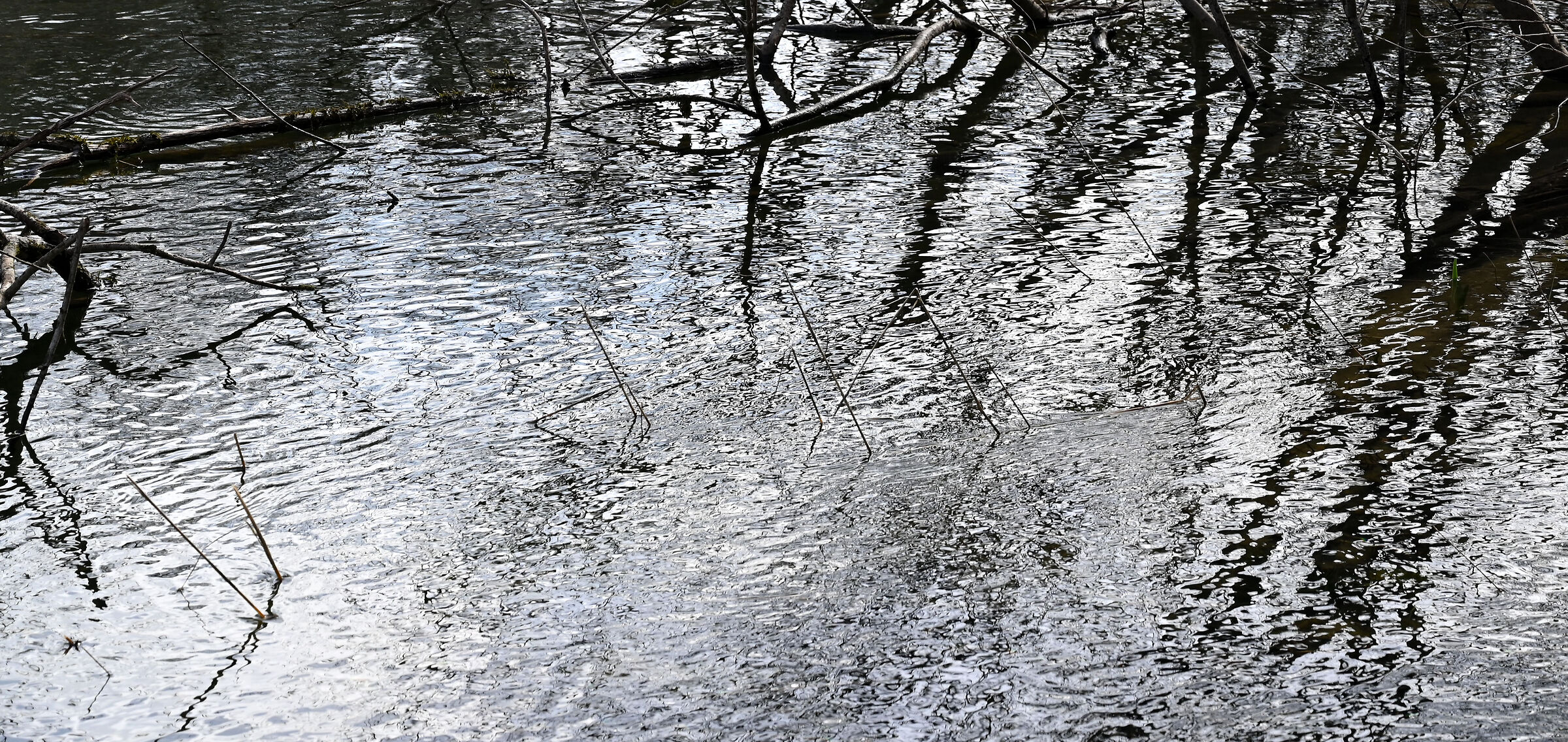 riflessi Rakov Skocian Slovenia