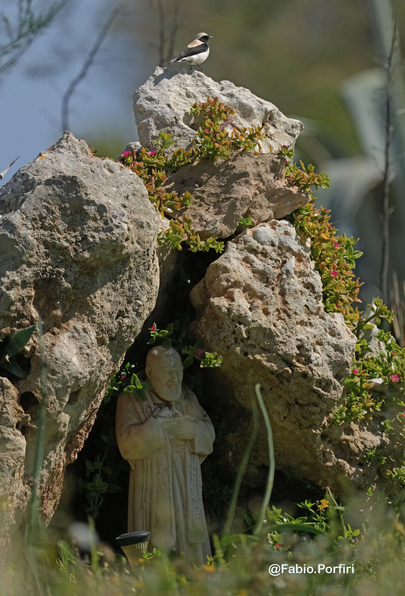 Il Santo e la Monachella ..