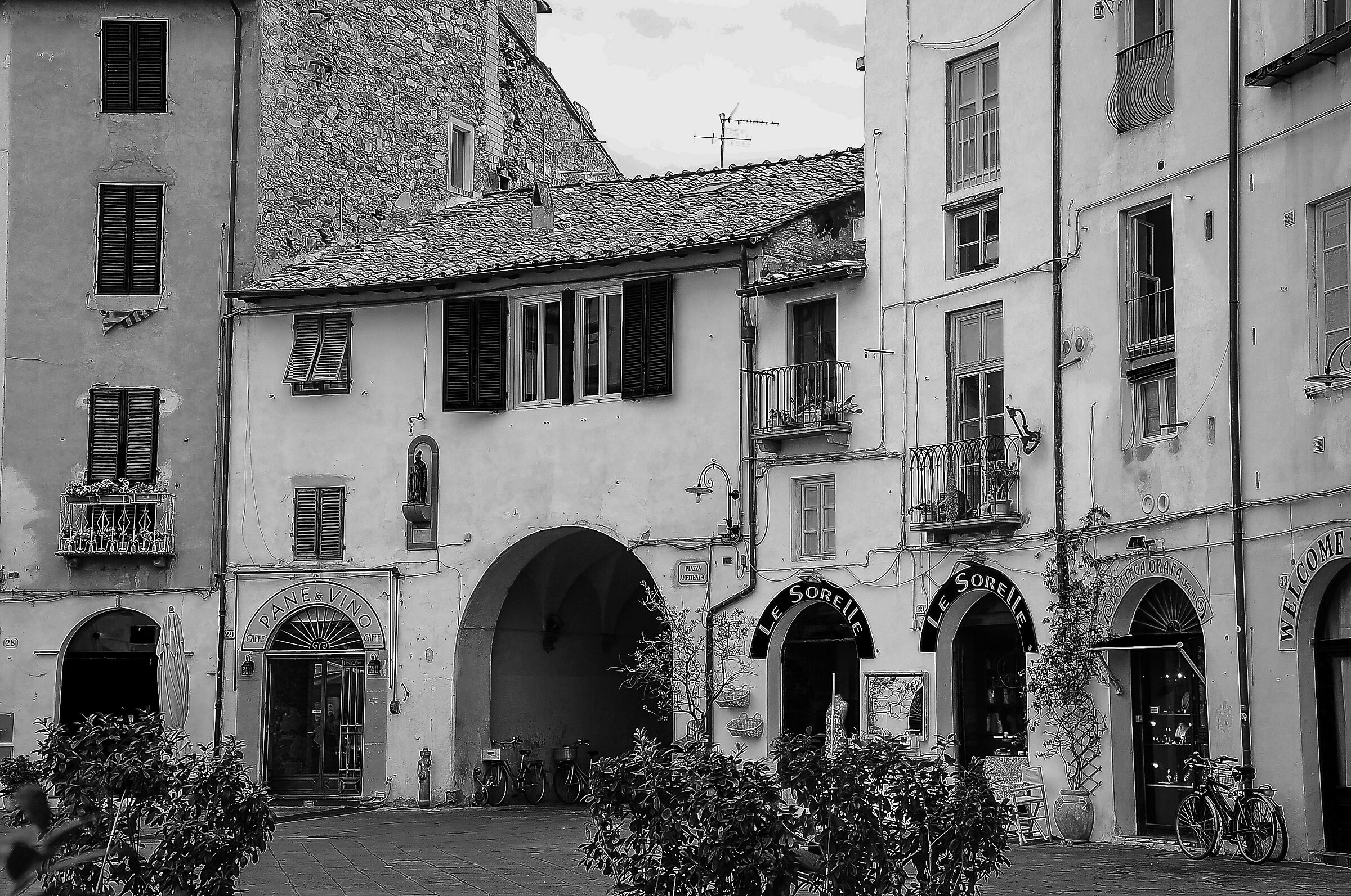 lucca