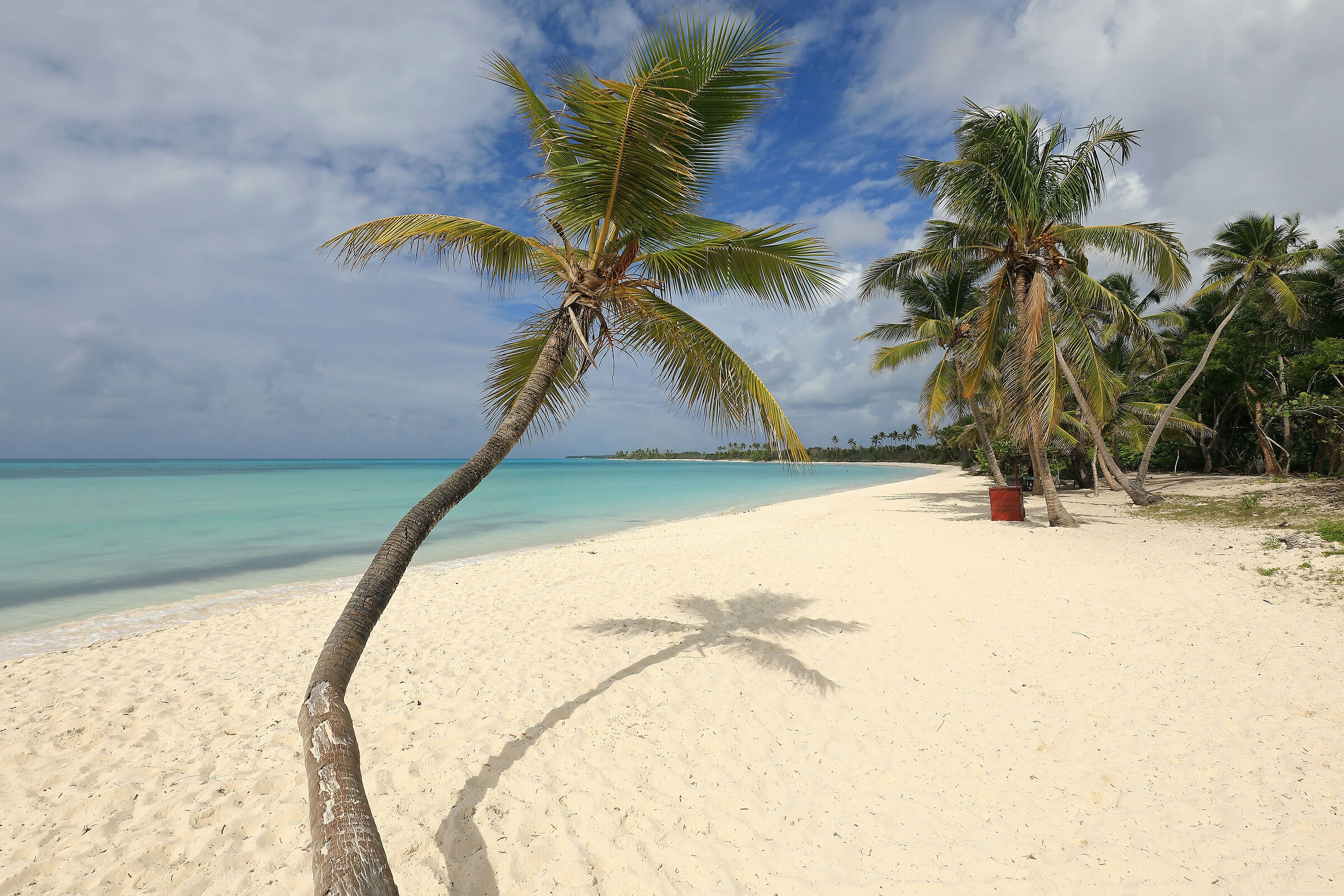 Playa Flamenco Isla Saona