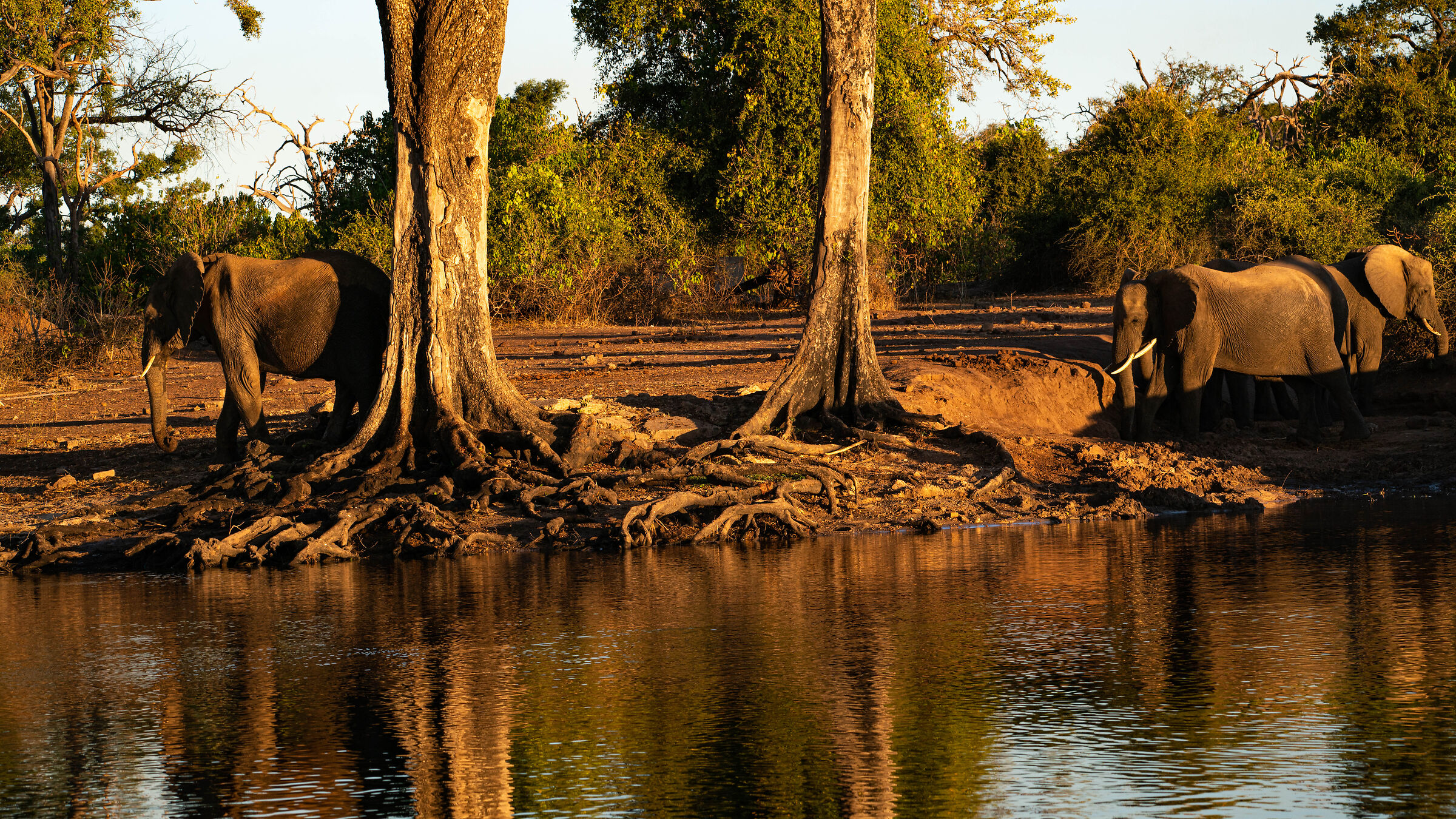 my BOTSWANA