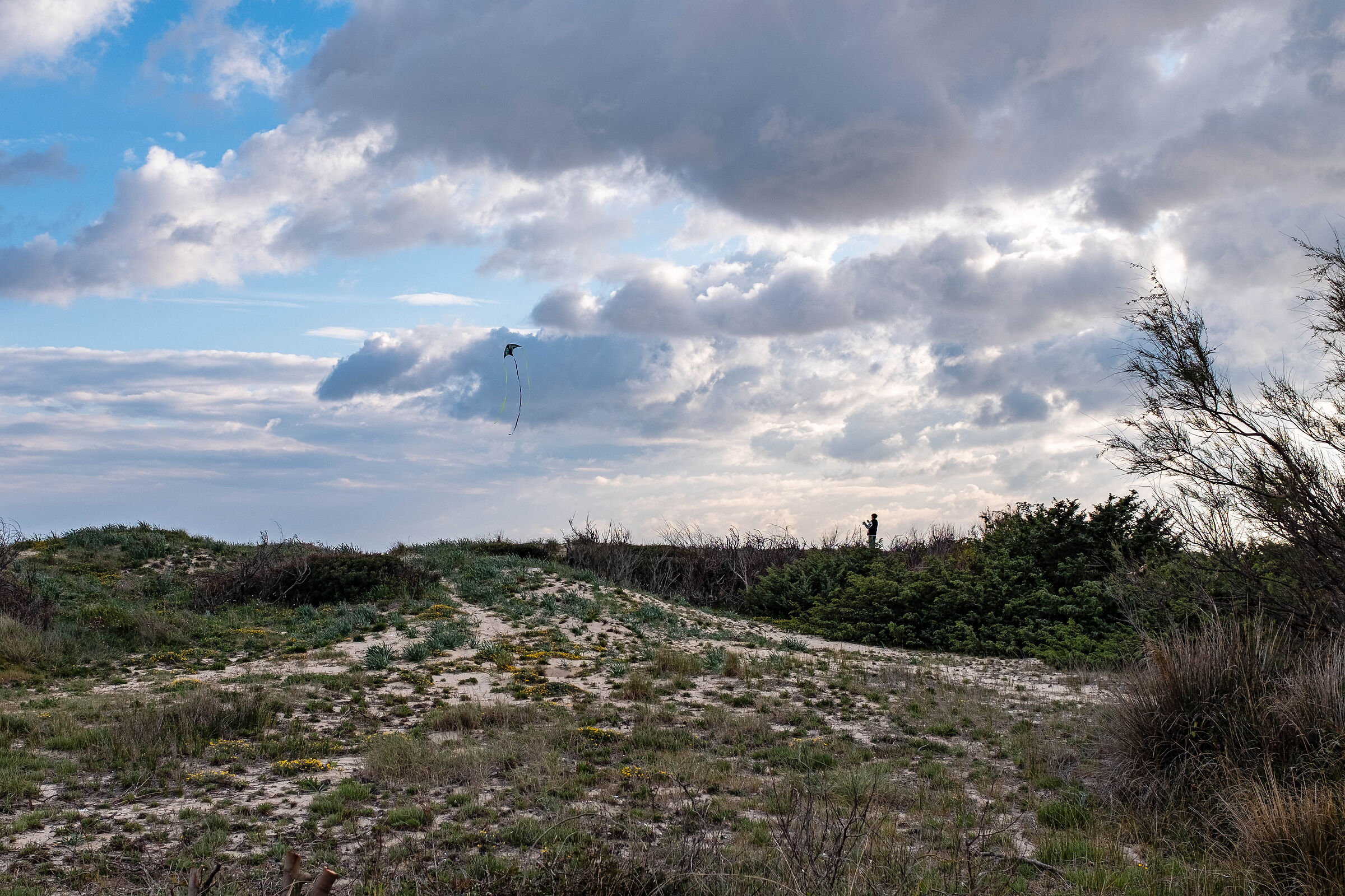 Aprile, il mese degli aquiloni