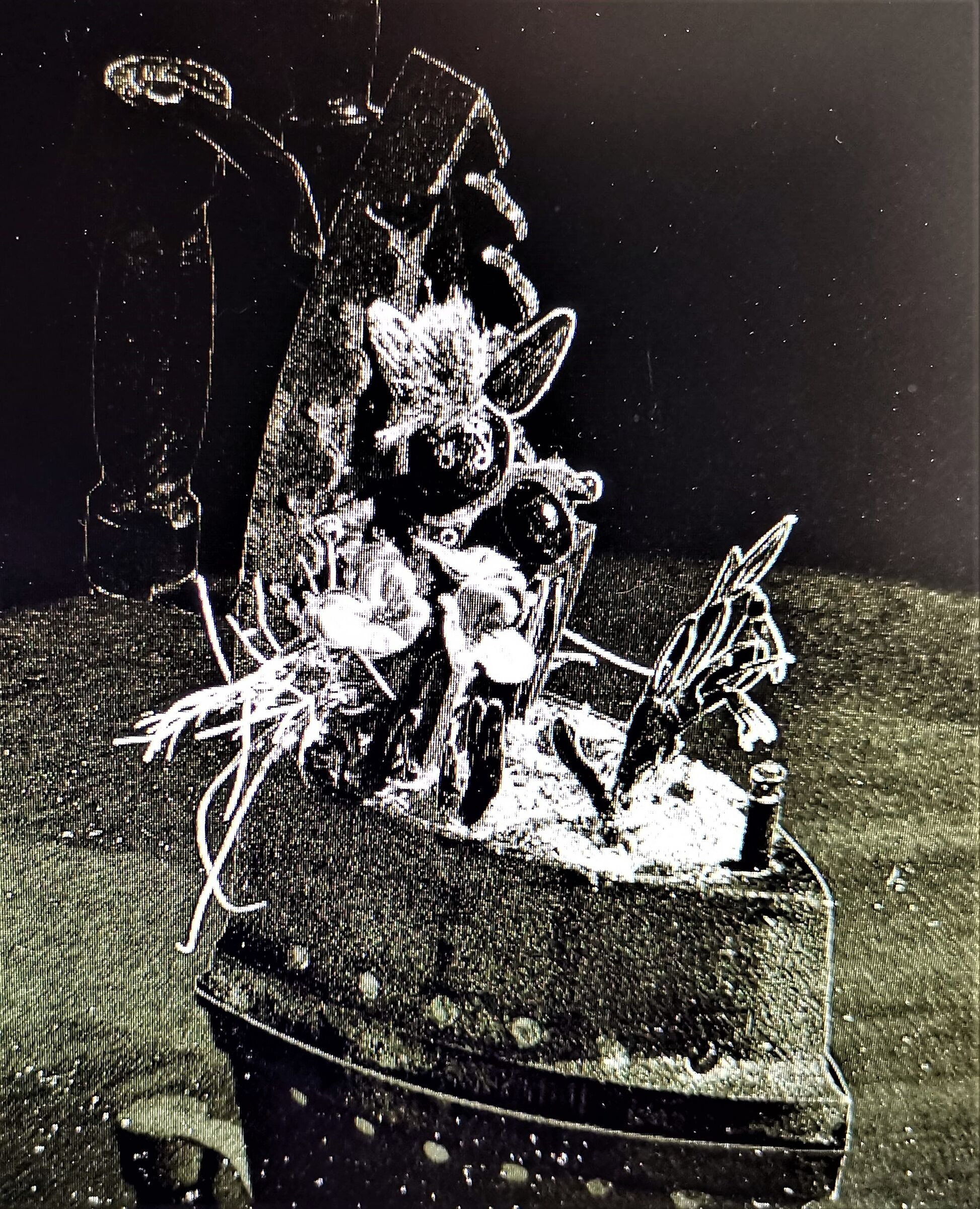 69th shot --- third round ---