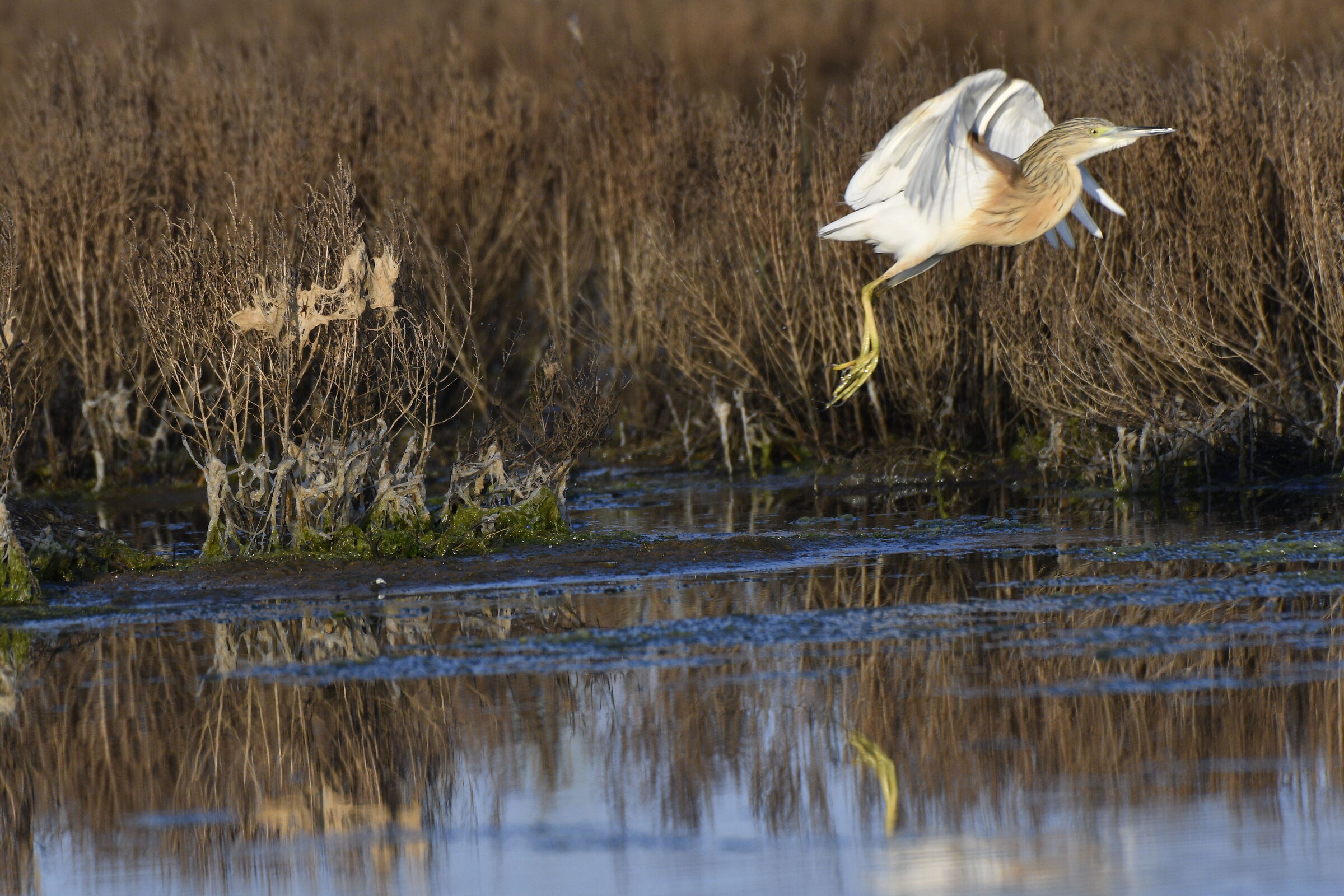 Looking for another place